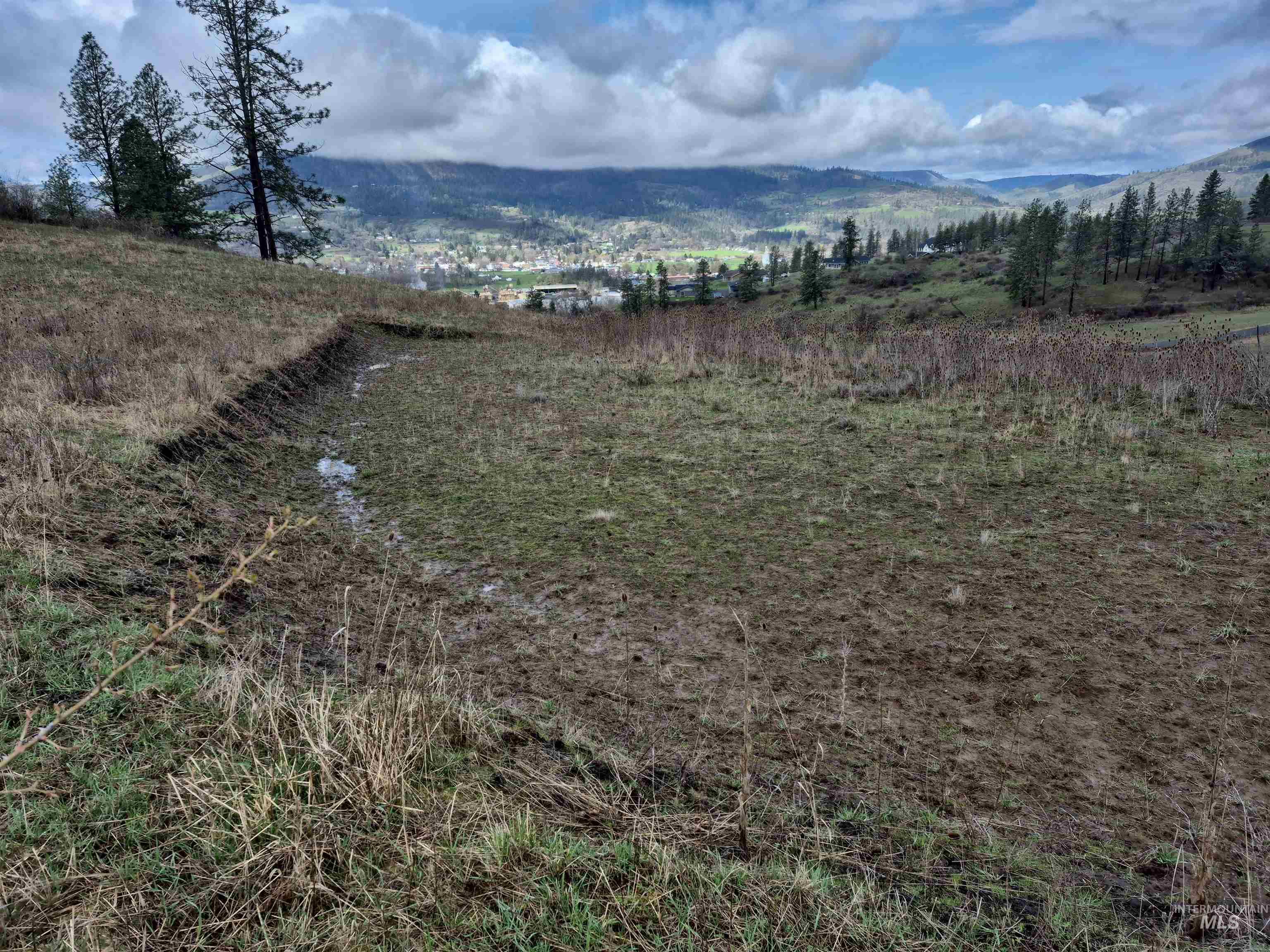 TBD Elk Hill St. Lot # 3, Kamiah, Idaho 83536, Land For Sale, Price $99,000,MLS 98980493