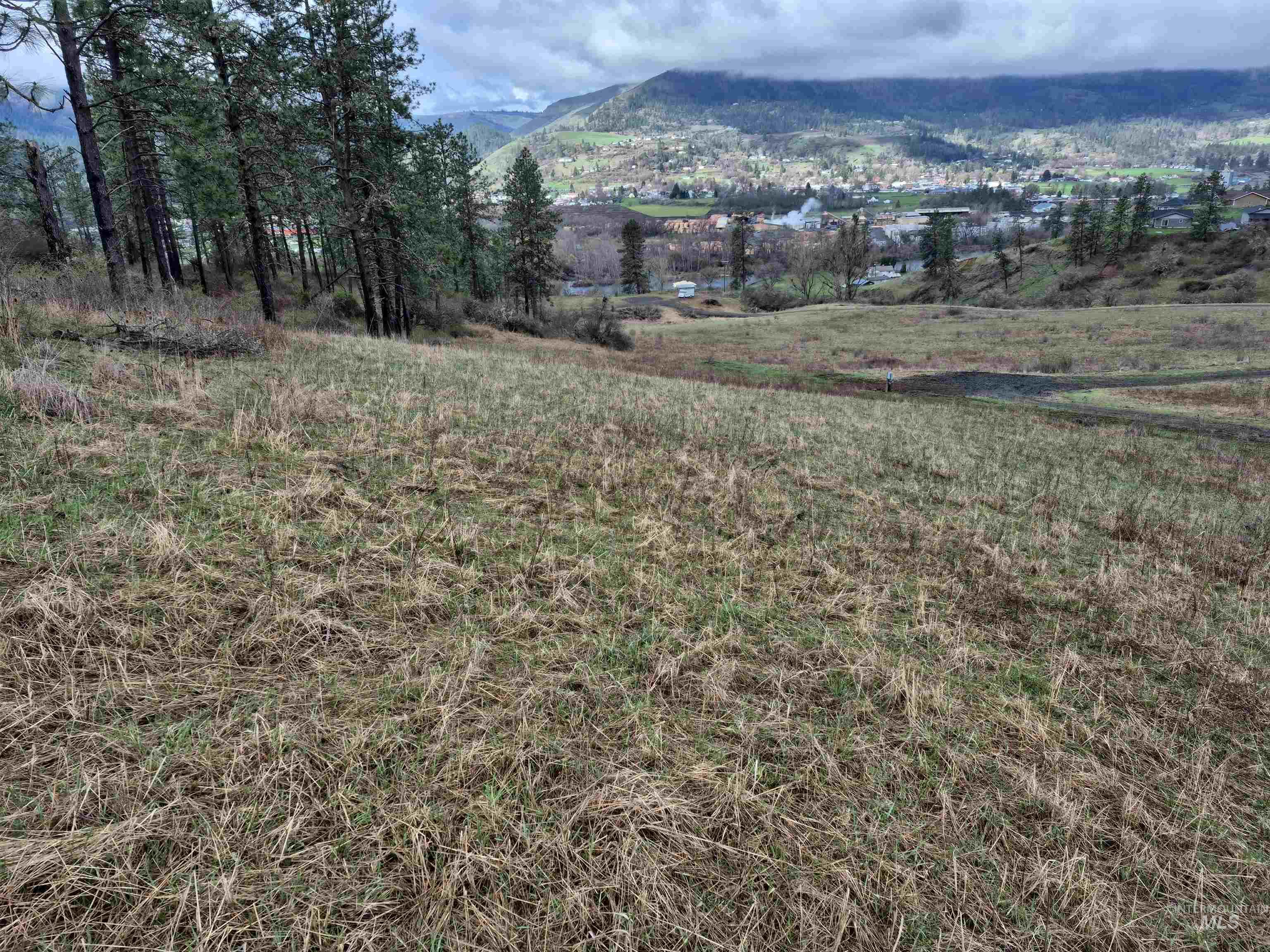 TBD Elk Hill St. Lot # 3, Kamiah, Idaho 83536, Land For Sale, Price $99,000,MLS 98980493