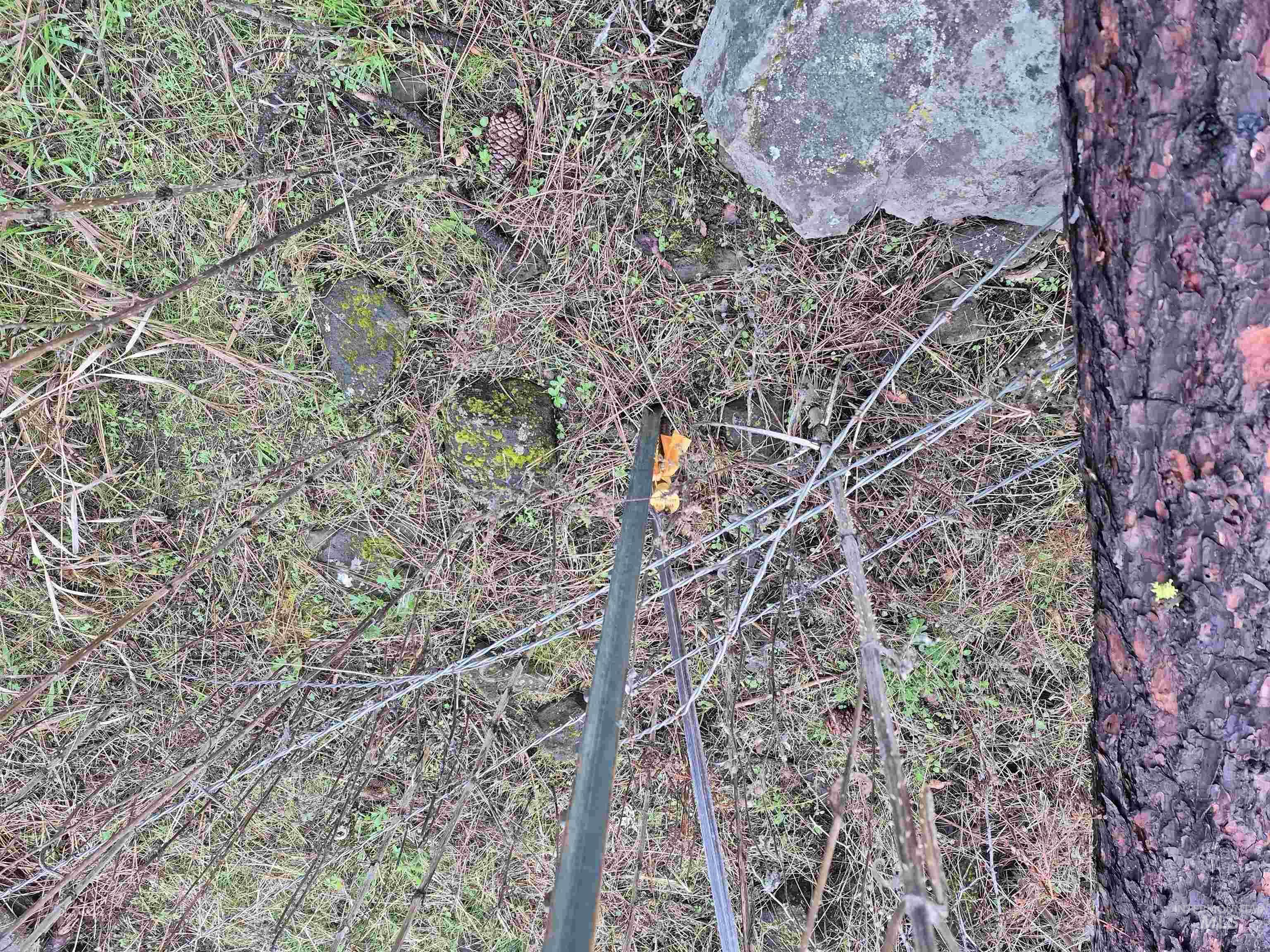 TBD Elk Hill St. Lot # 3, Kamiah, Idaho 83536, Land For Sale, Price $99,000,MLS 98980493