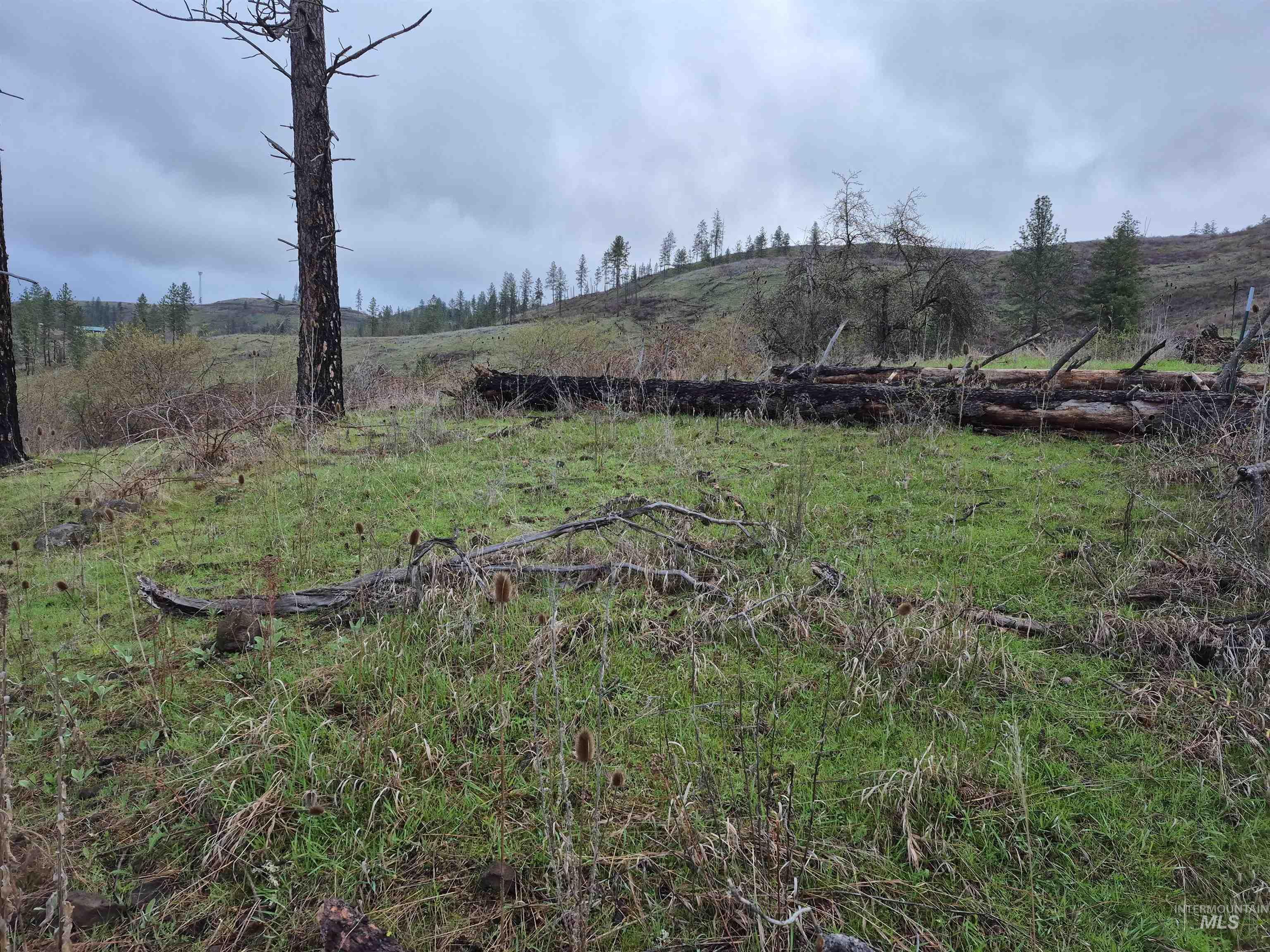 TBD Elk Hill St. Lot # 3, Kamiah, Idaho 83536, Land For Sale, Price $99,000,MLS 98980493