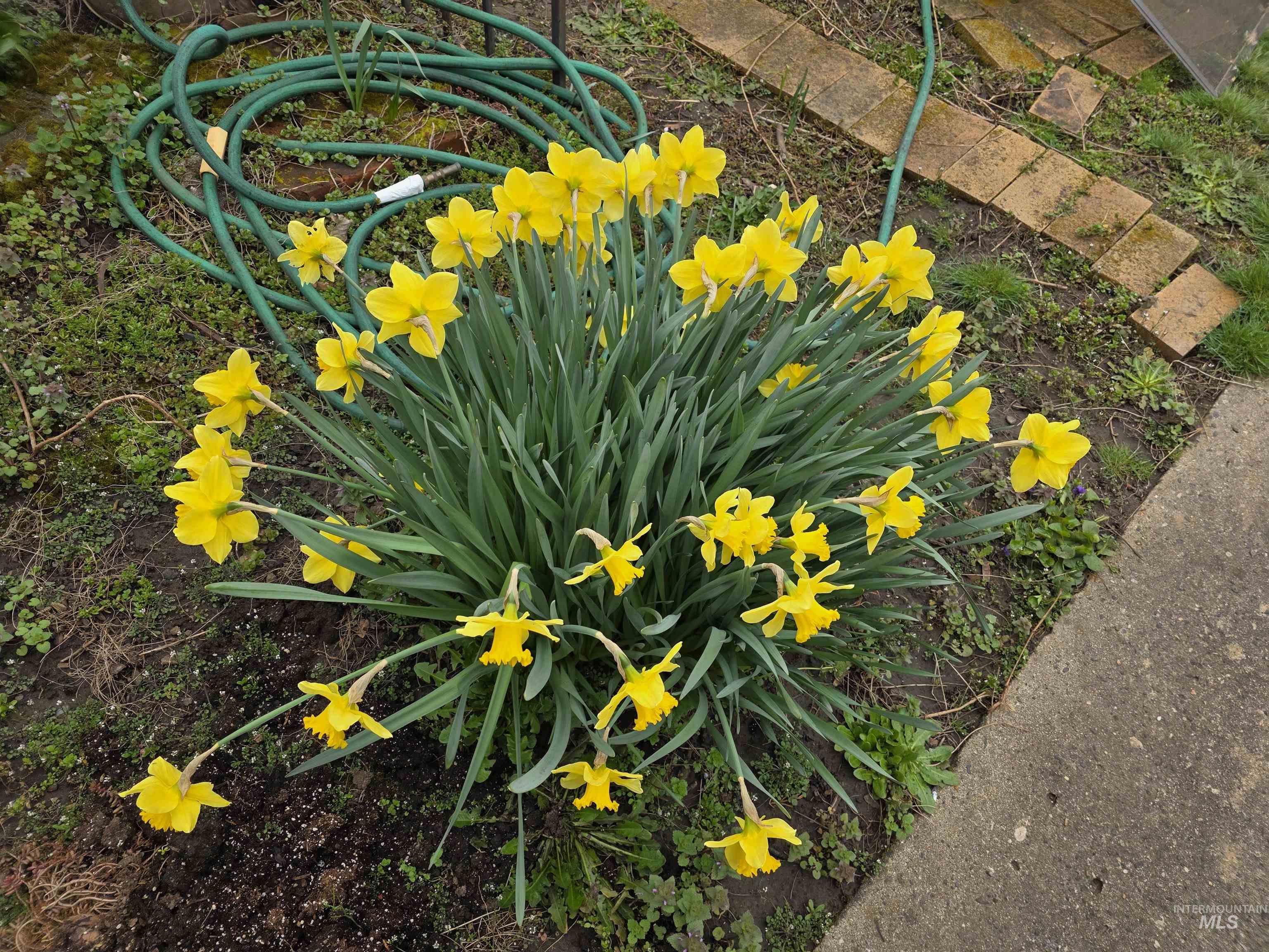 504 Idaho St, Kamiah, Idaho 83536, 2 Bedrooms, 1 Bathroom, Residential For Sale, Price $185,000,MLS 98980523