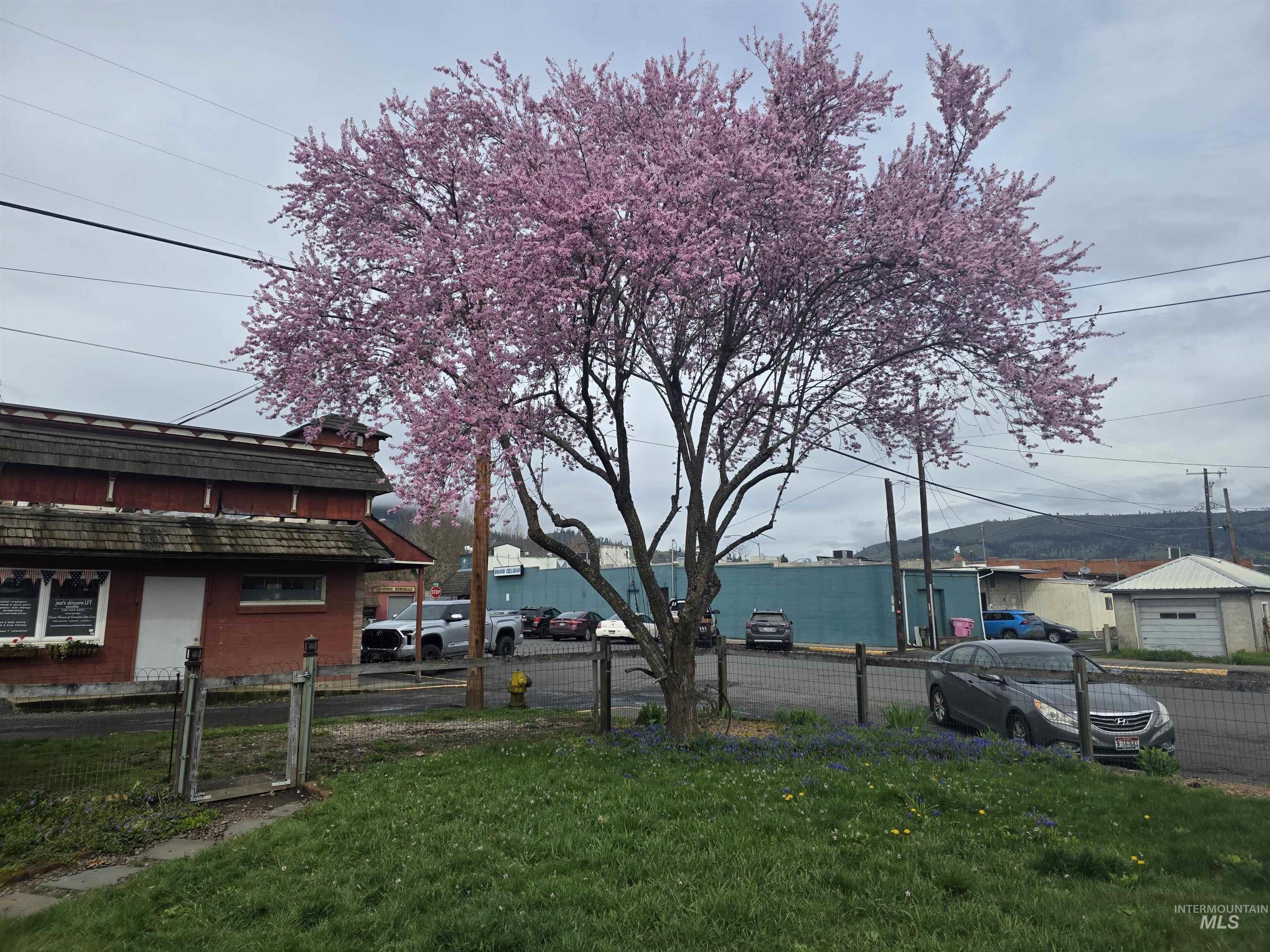 504 Idaho St, Kamiah, Idaho 83536, 2 Bedrooms, 1 Bathroom, Residential For Sale, Price $185,000,MLS 98980523