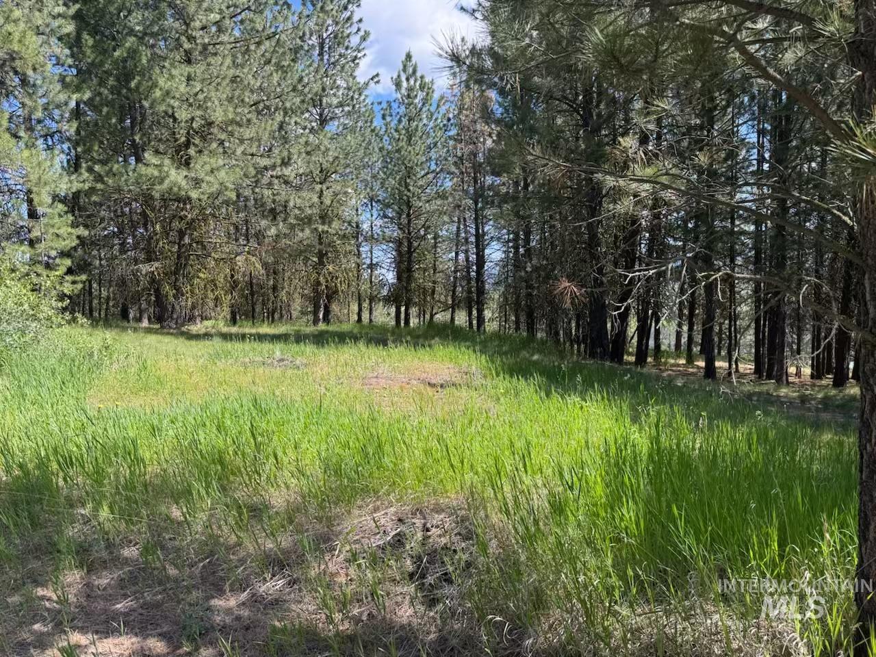 643 S Main Street, Cascade, Idaho 83611, 3 Bedrooms, 3 Bathrooms, Residential For Sale, Price $679,000, 98980524