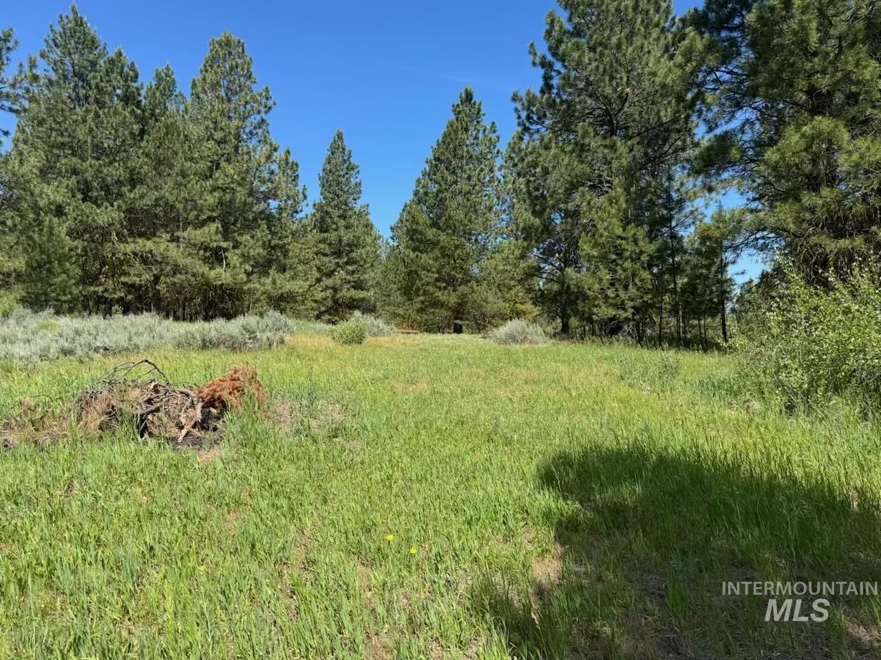 643 S Main Street, Cascade, Idaho 83611, 3 Bedrooms, 3 Bathrooms, Residential For Sale, Price $679,000, 98980524