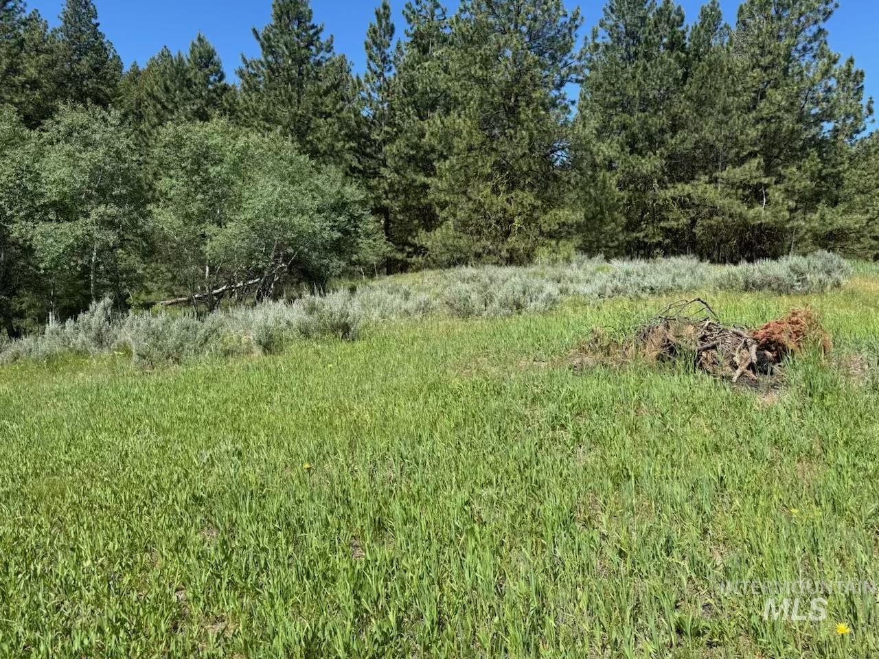 643 S Main Street, Cascade, Idaho 83611, 3 Bedrooms, 3 Bathrooms, Residential For Sale, Price $679,000, 98980524