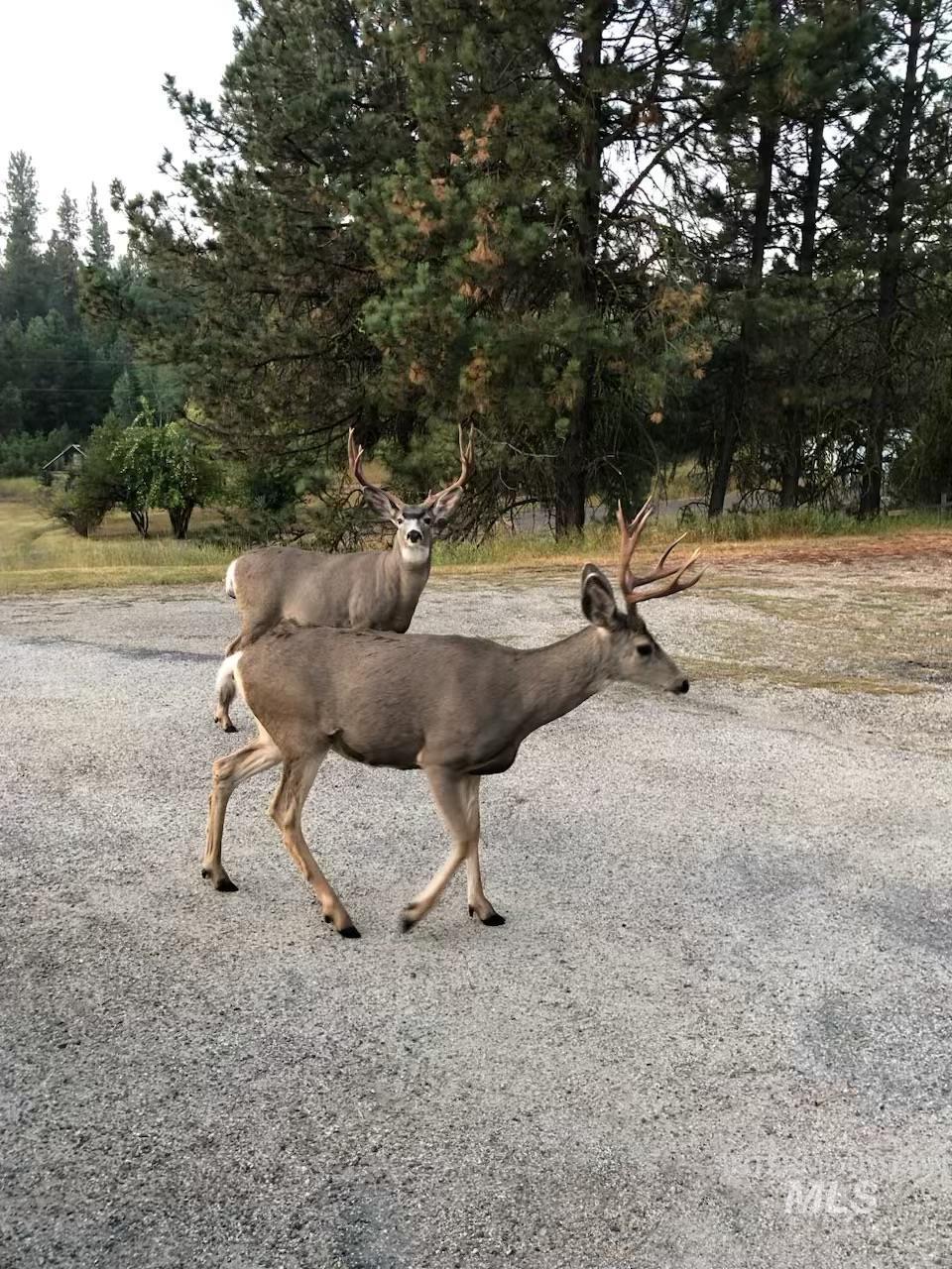 643 S Main Street, Cascade, Idaho 83611, 3 Bedrooms, 3 Bathrooms, Residential For Sale, Price $679,000, 98980524