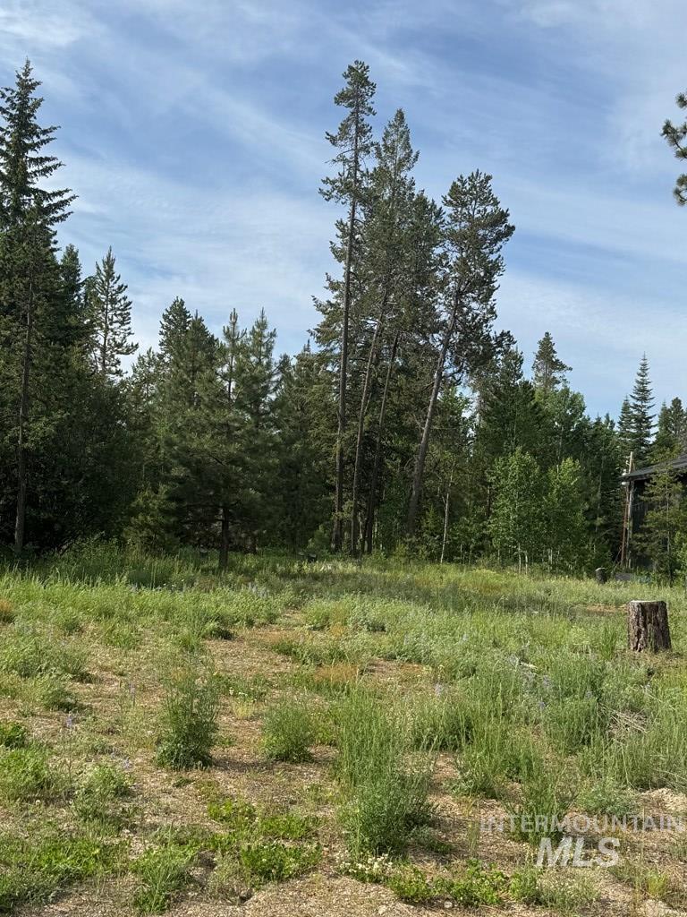203 Pintail Pl, Donnelly, Idaho 83615, Land For Sale, Price $329,000,MLS 98980618