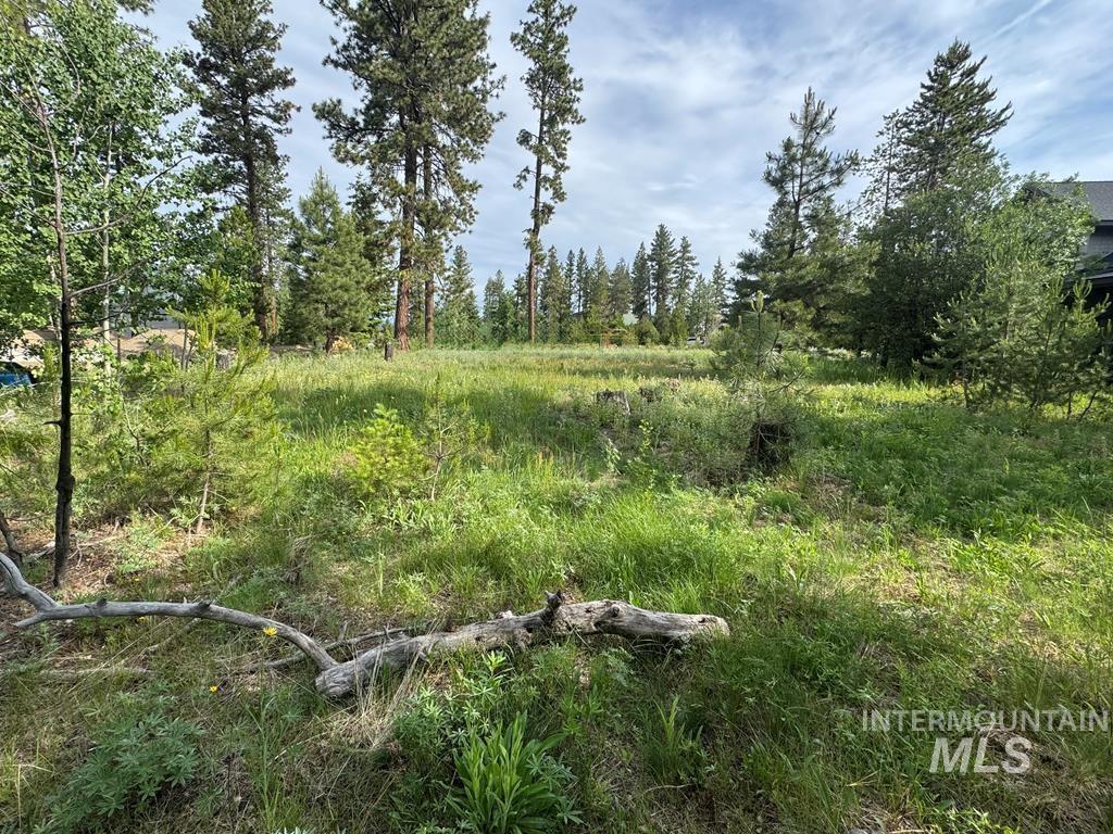 203 Pintail Pl, Donnelly, Idaho 83615, Land For Sale, Price $329,000,MLS 98980618