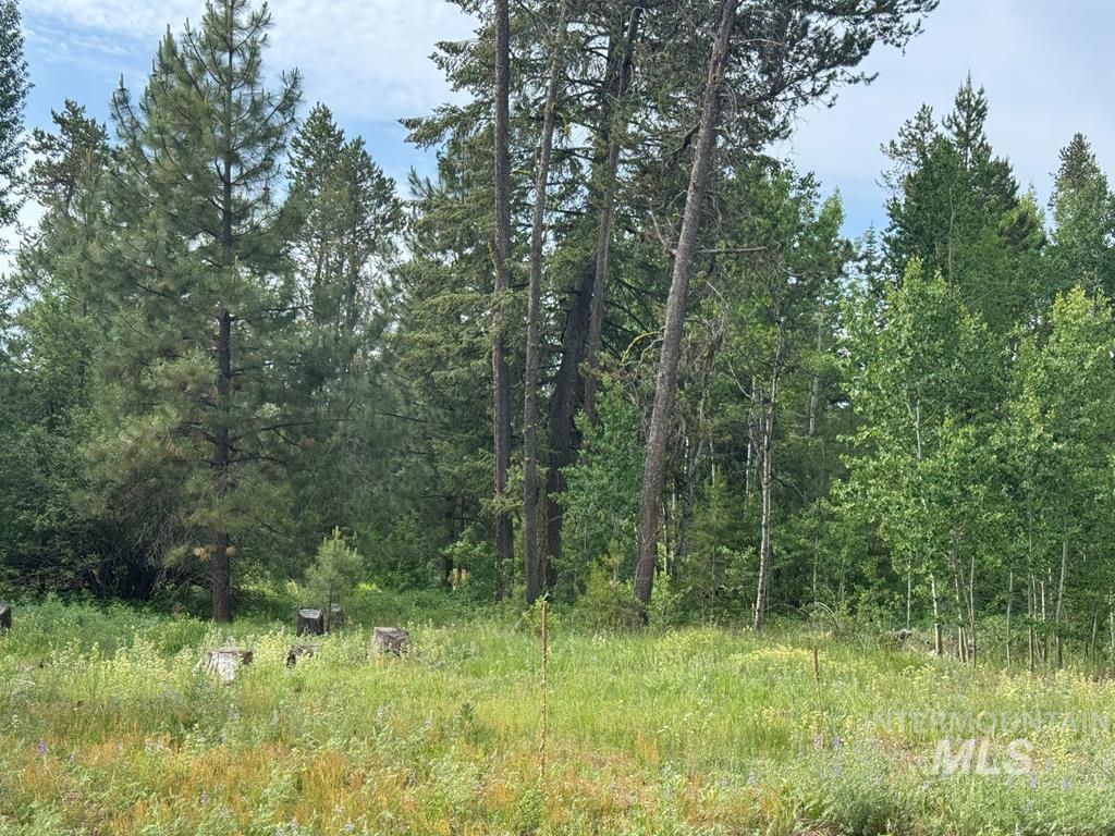 203 Pintail Pl, Donnelly, Idaho 83615, Land For Sale, Price $329,000,MLS 98980618