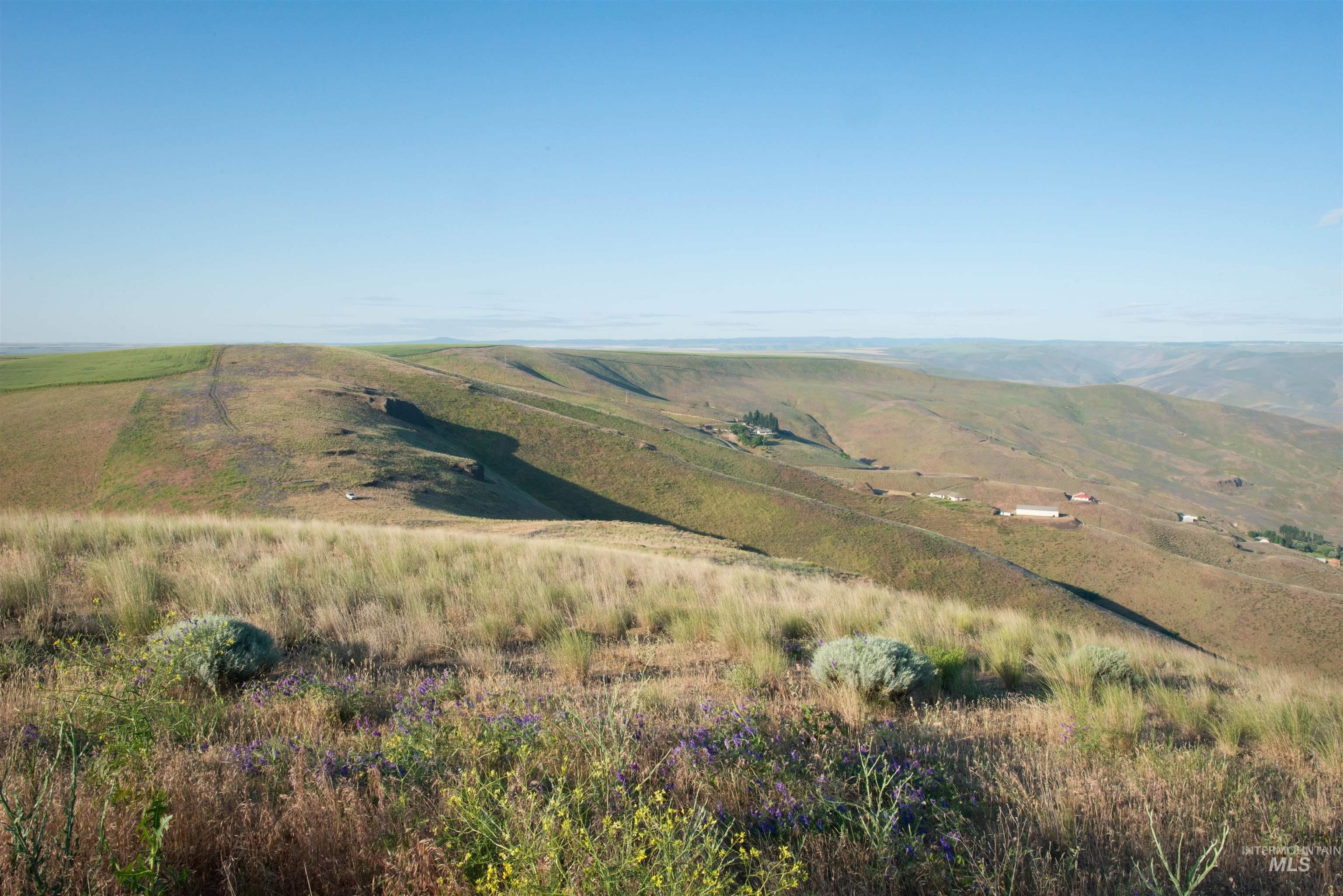2001 Silcott Hills Rd, Clarkston, Washington 99403, Land For Sale, Price $250,000,MLS 98980680