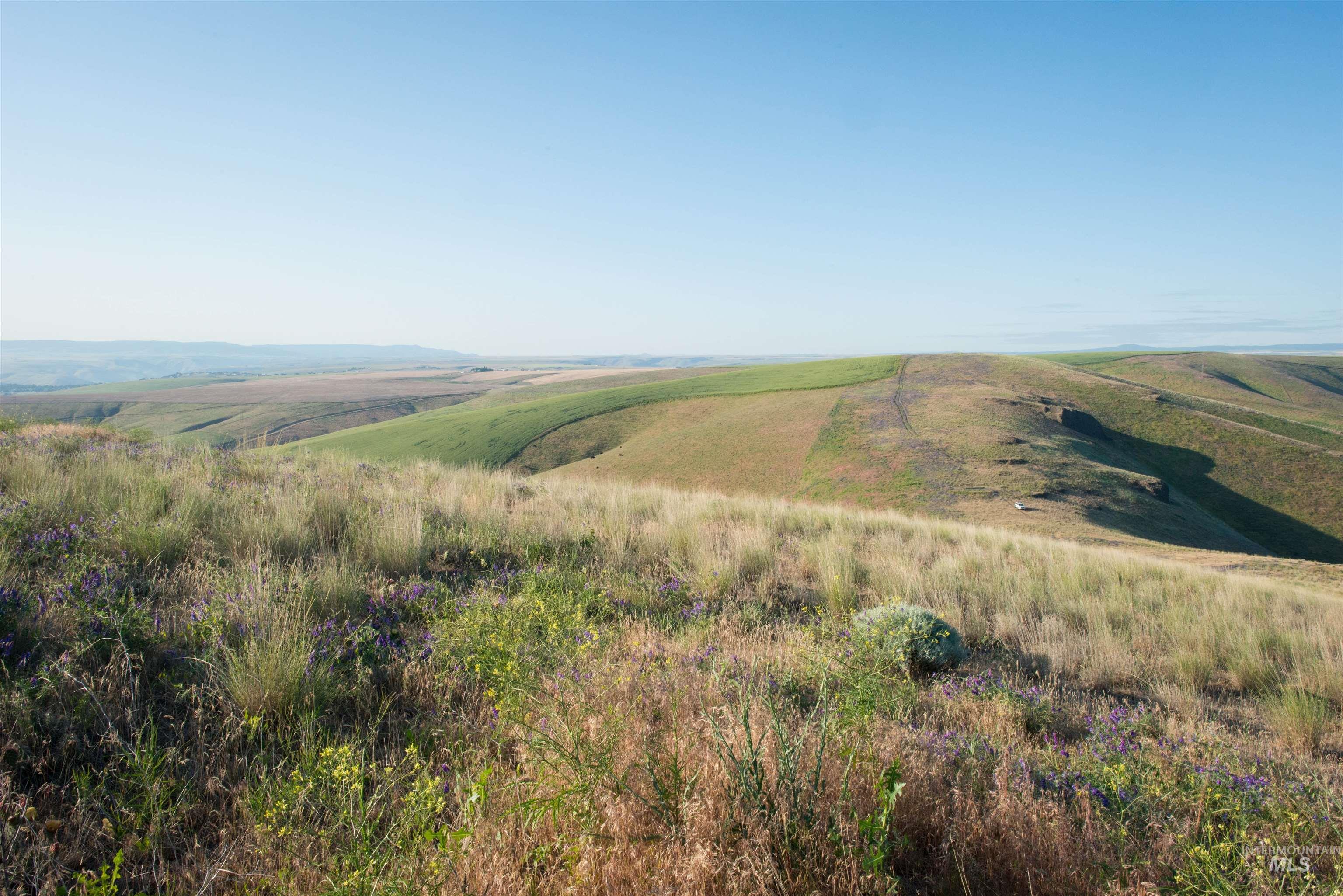 2001 Silcott Hills Rd, Clarkston, Washington 99403, Land For Sale, Price $250,000,MLS 98980680