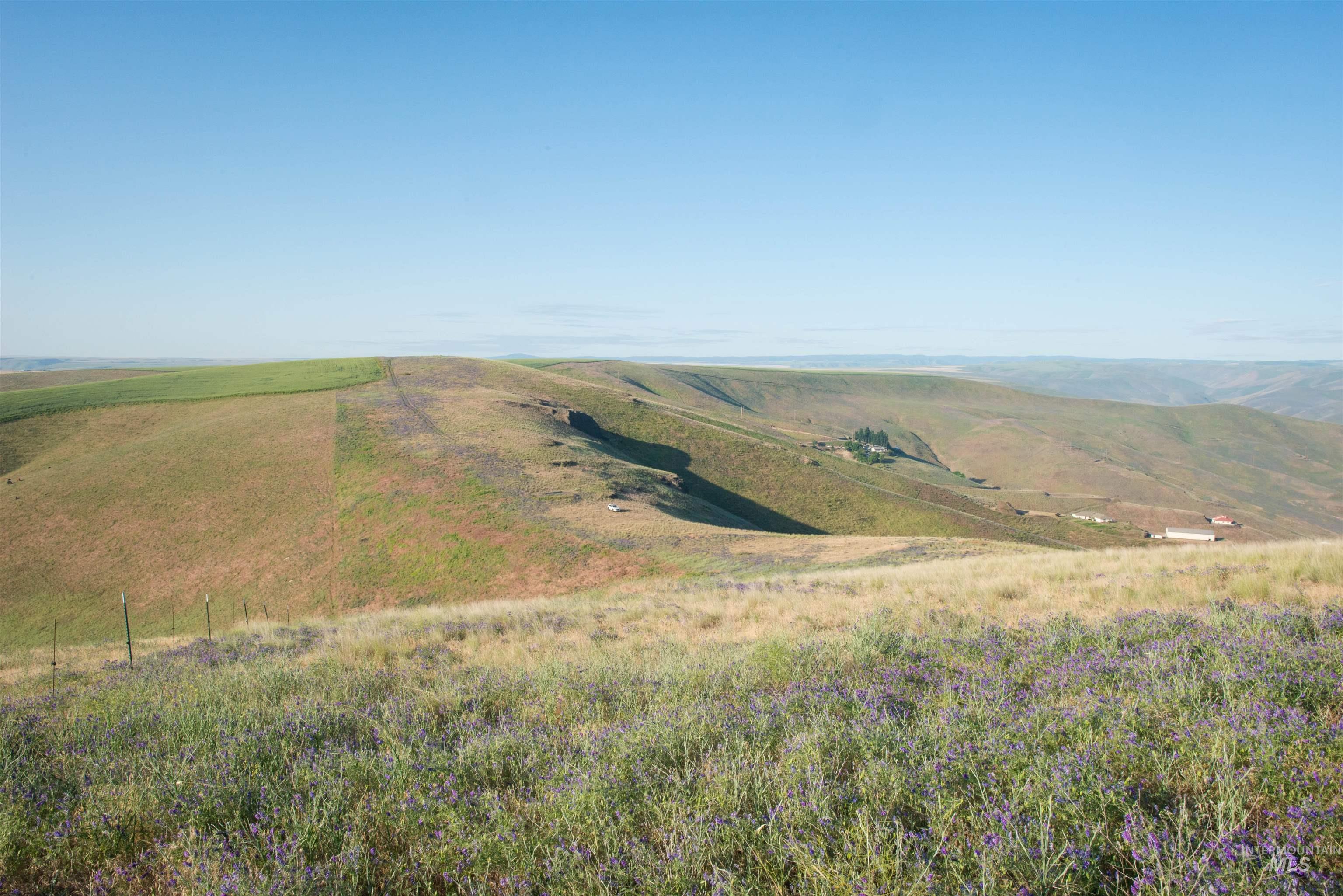 2001 Silcott Hills Rd, Clarkston, Washington 99403, Land For Sale, Price $250,000,MLS 98980680