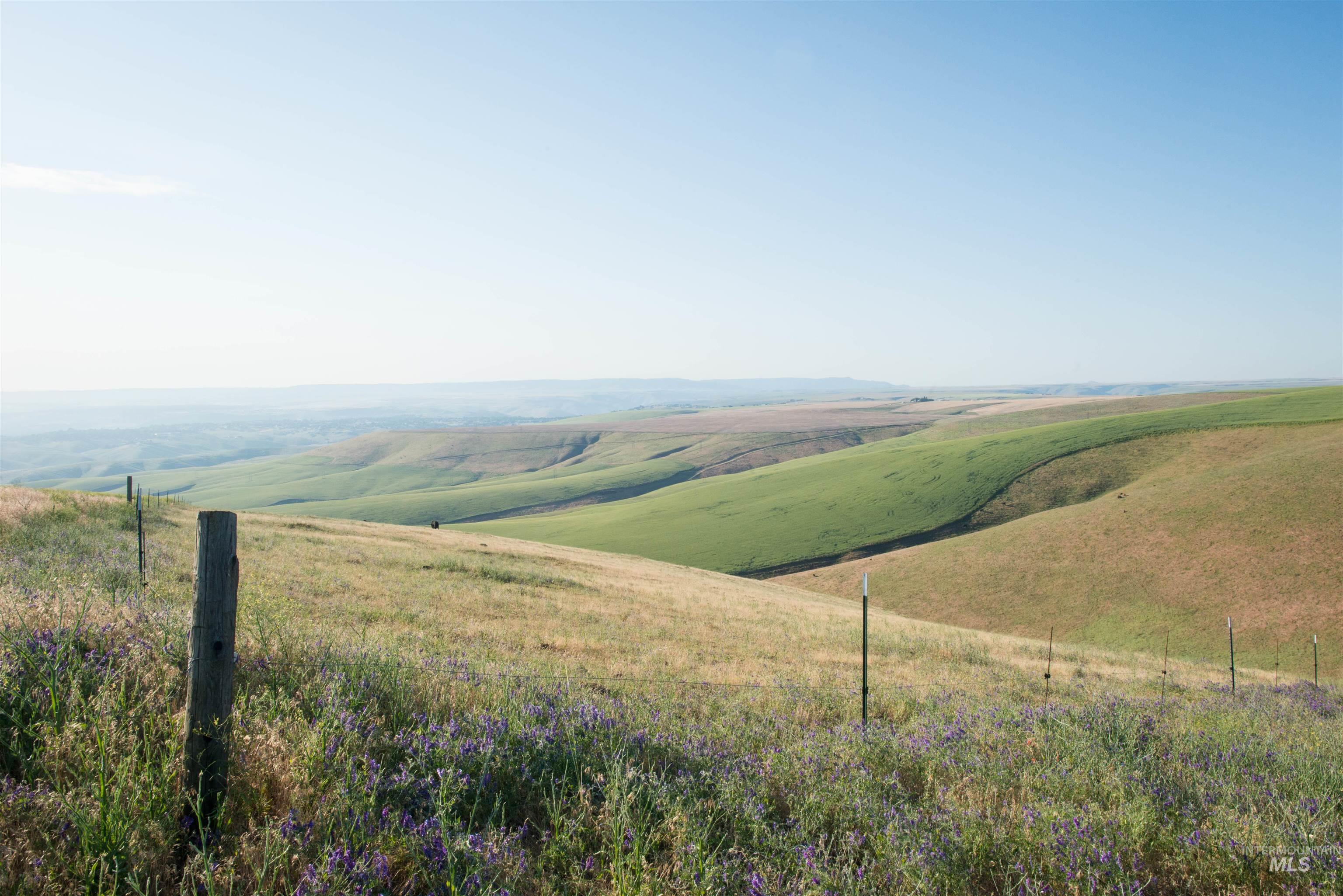 2001 Silcott Hills Rd, Clarkston, Washington 99403, Land For Sale, Price $250,000,MLS 98980680