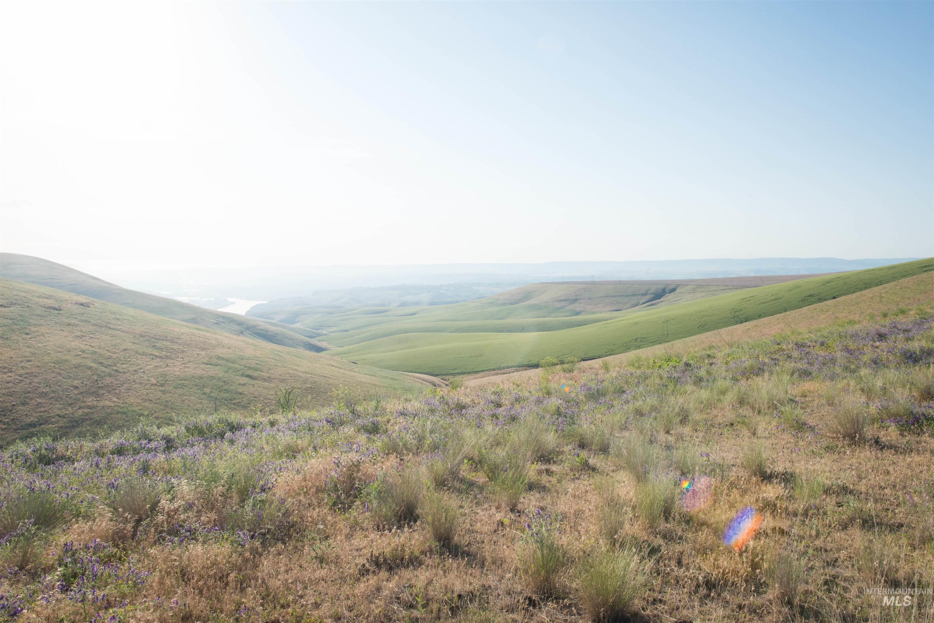 2001 Silcott Hills Rd, Clarkston, Washington 99403, Land For Sale, Price $250,000,MLS 98980680