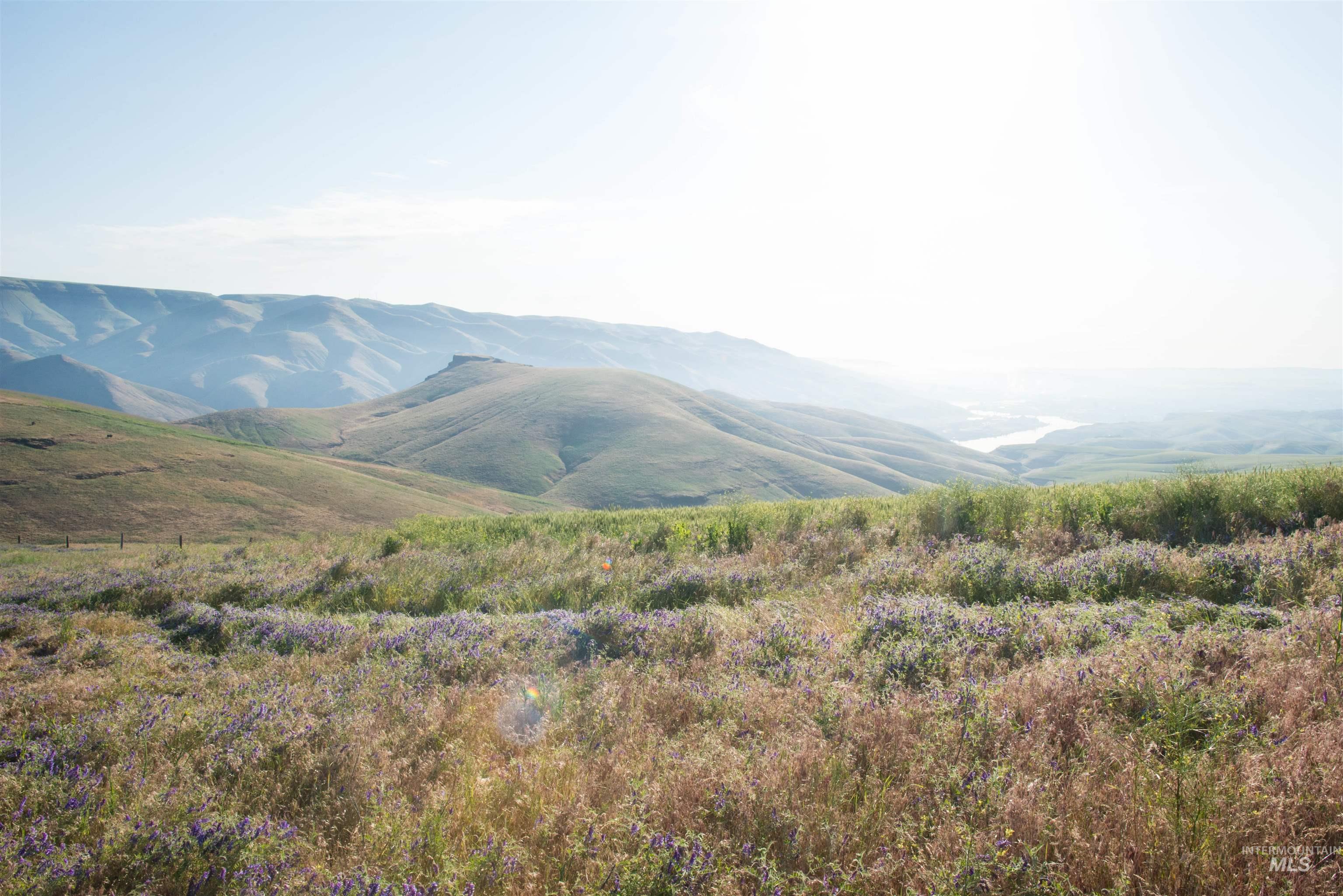 2001 Silcott Hills Rd, Clarkston, Washington 99403, Land For Sale, Price $250,000,MLS 98980680