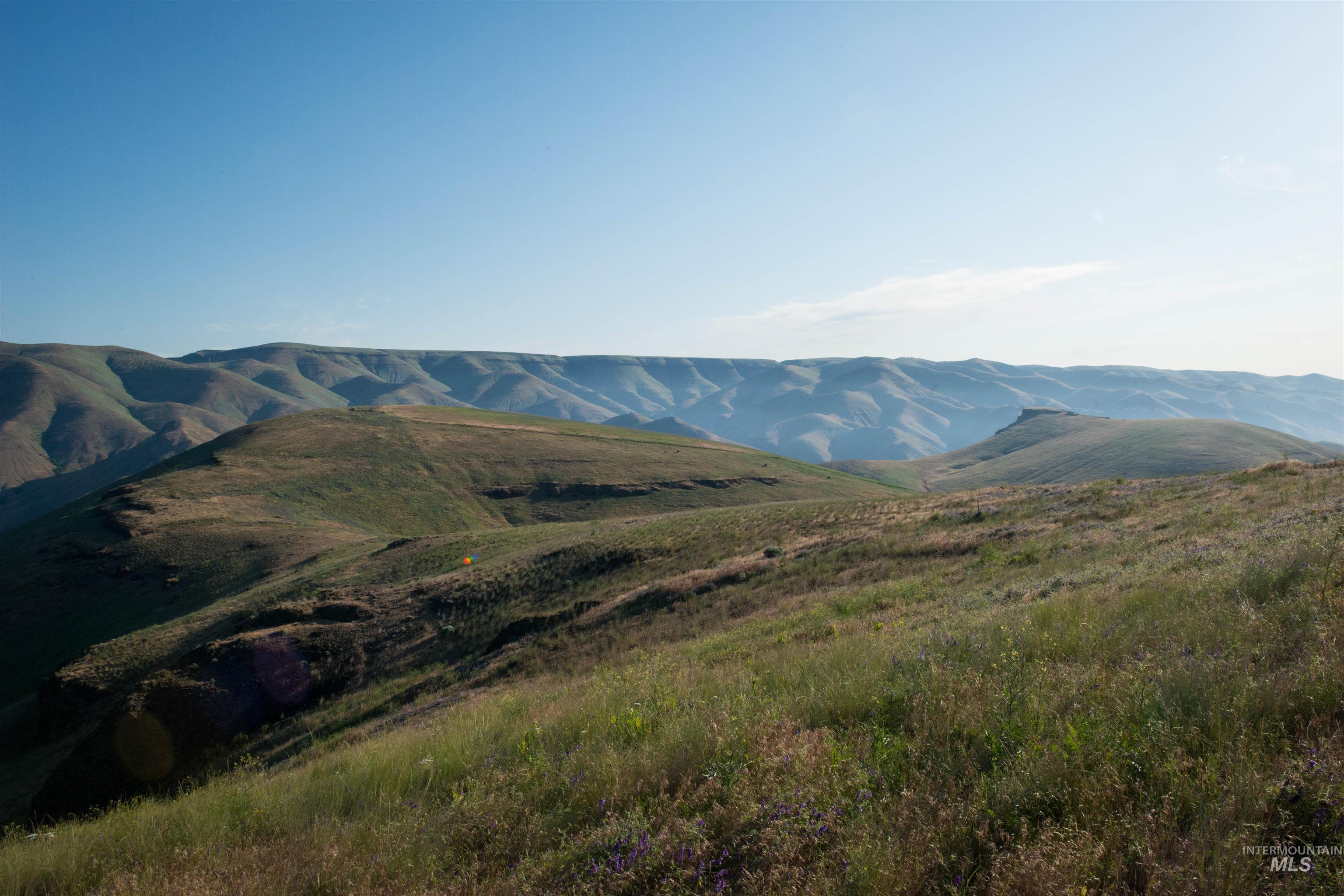 2001 Silcott Hills Rd, Clarkston, Washington 99403, Land For Sale, Price $250,000,MLS 98980680
