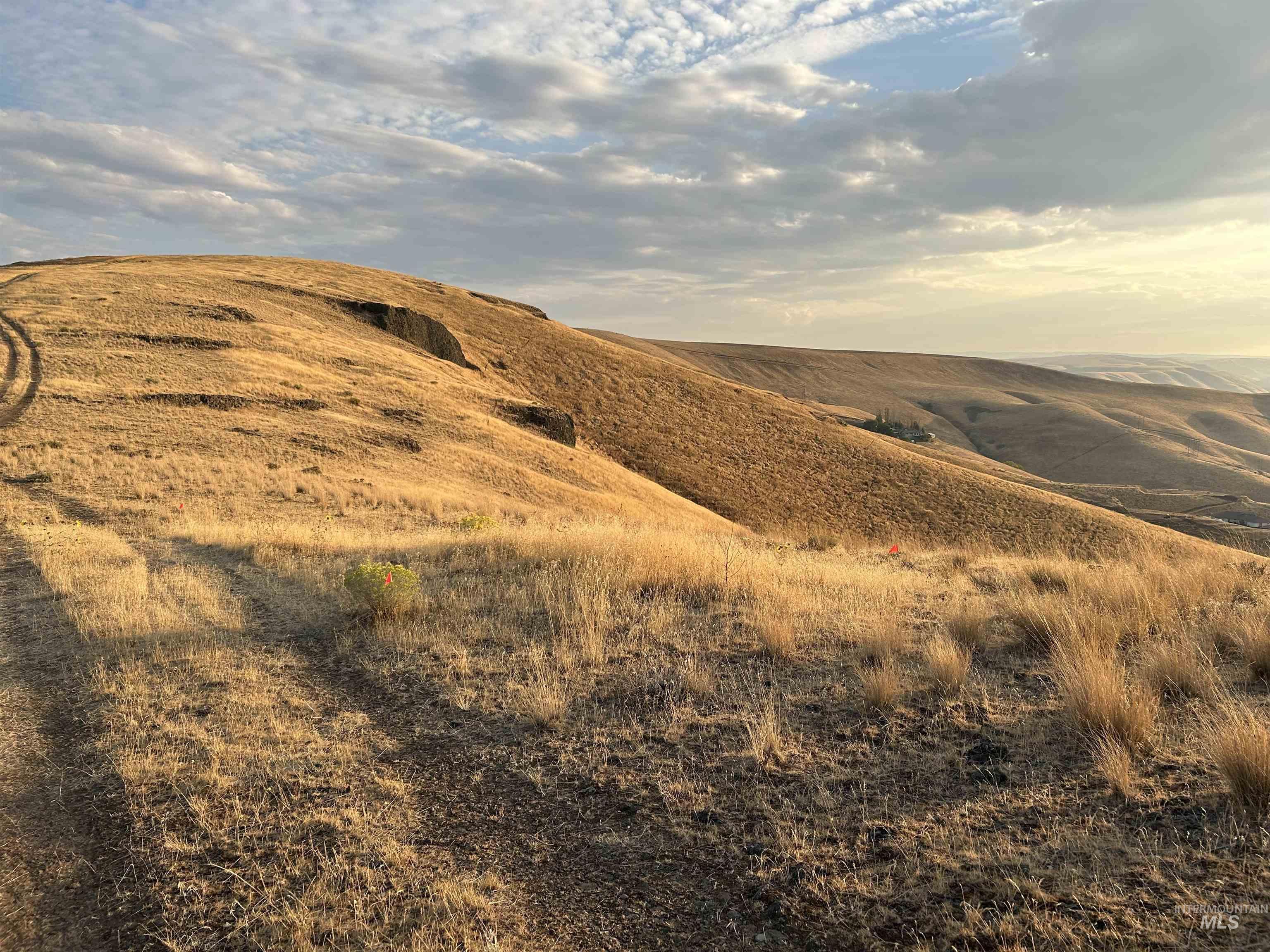 2001 Silcott Hills Rd, Clarkston, Washington 99403, Land For Sale, Price $250,000,MLS 98980680