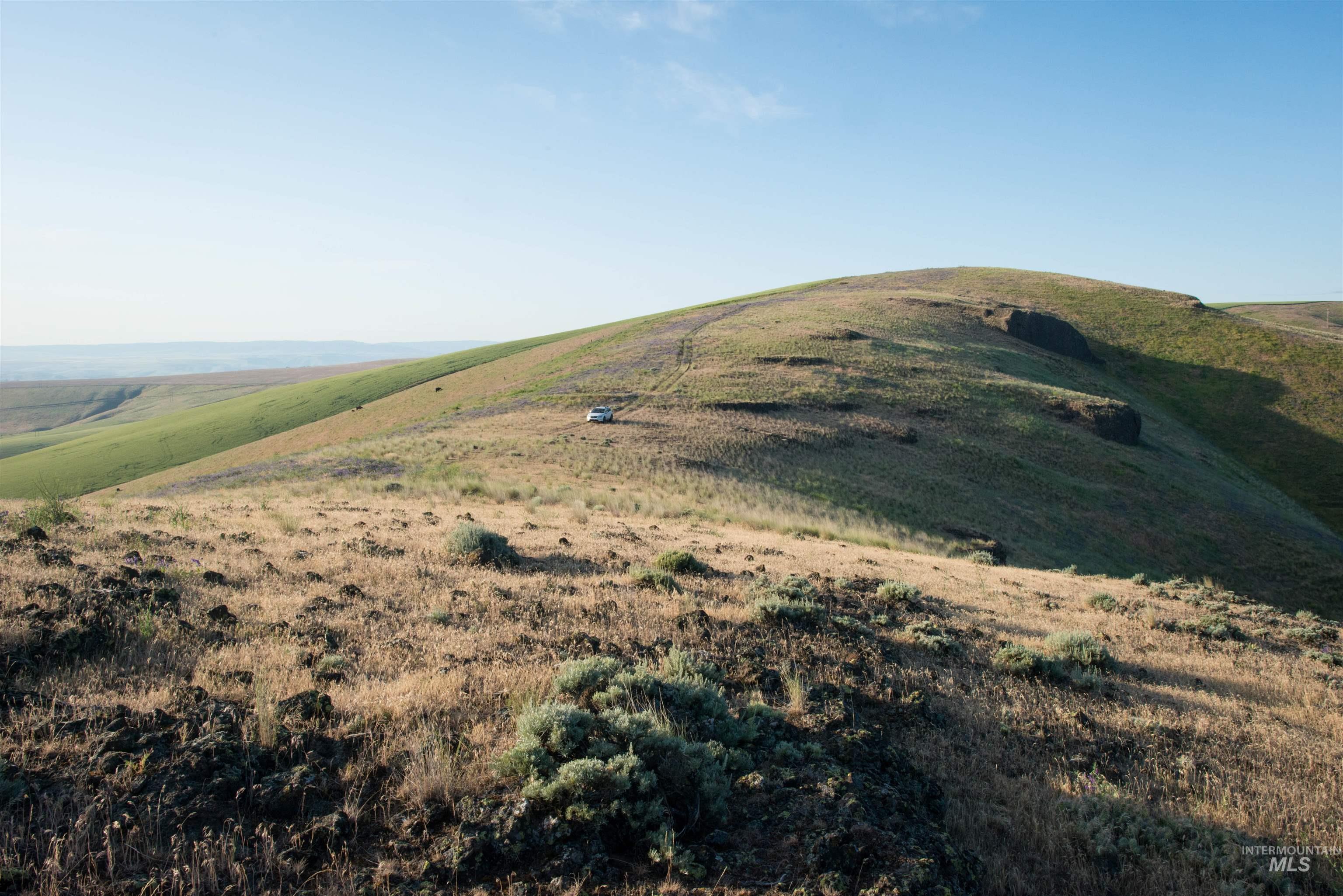 2001 Silcott Hills Rd, Clarkston, Washington 99403, Land For Sale, Price $250,000,MLS 98980680