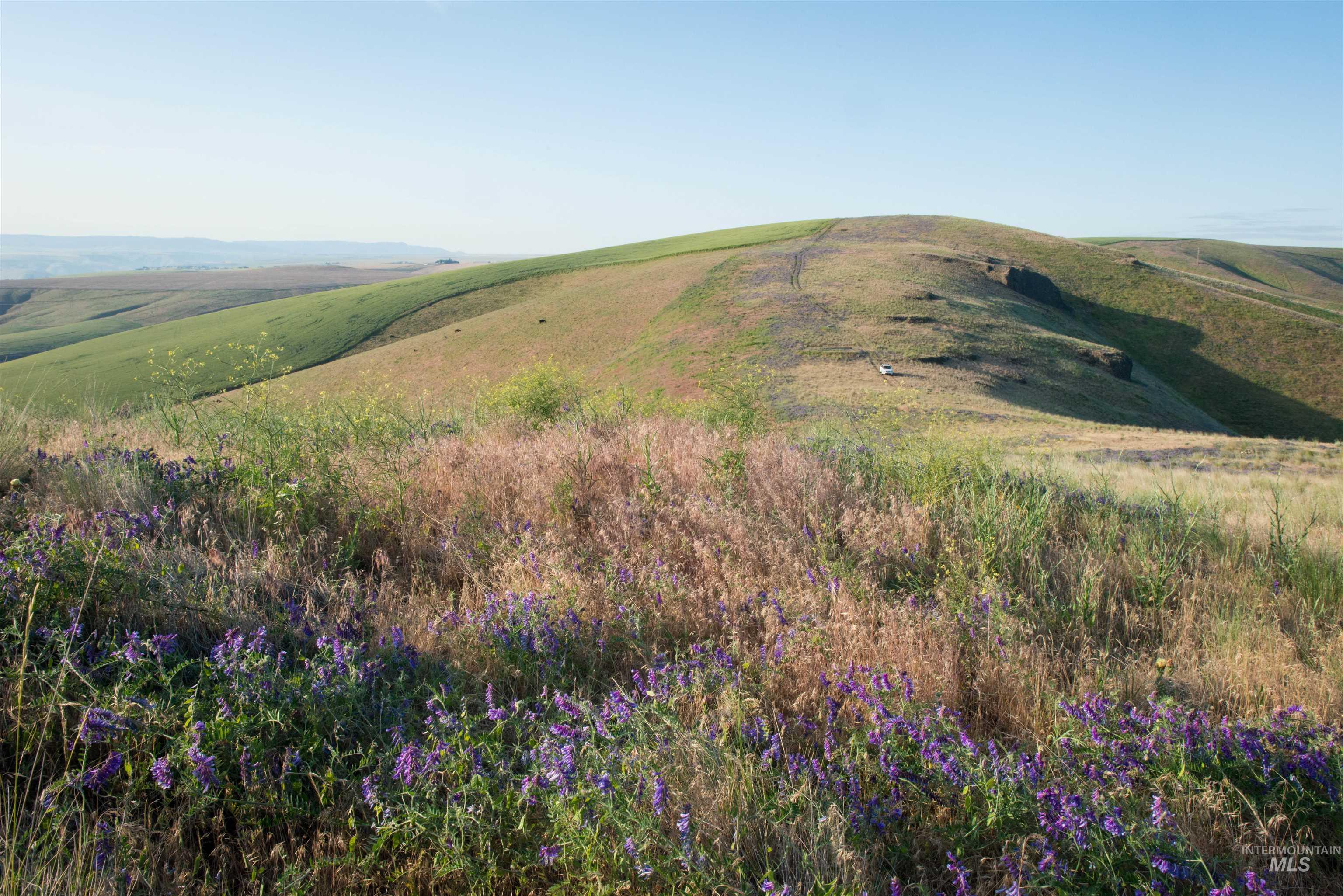 2001 Silcott Hills Rd, Clarkston, Washington 99403, Land For Sale, Price $250,000,MLS 98980680