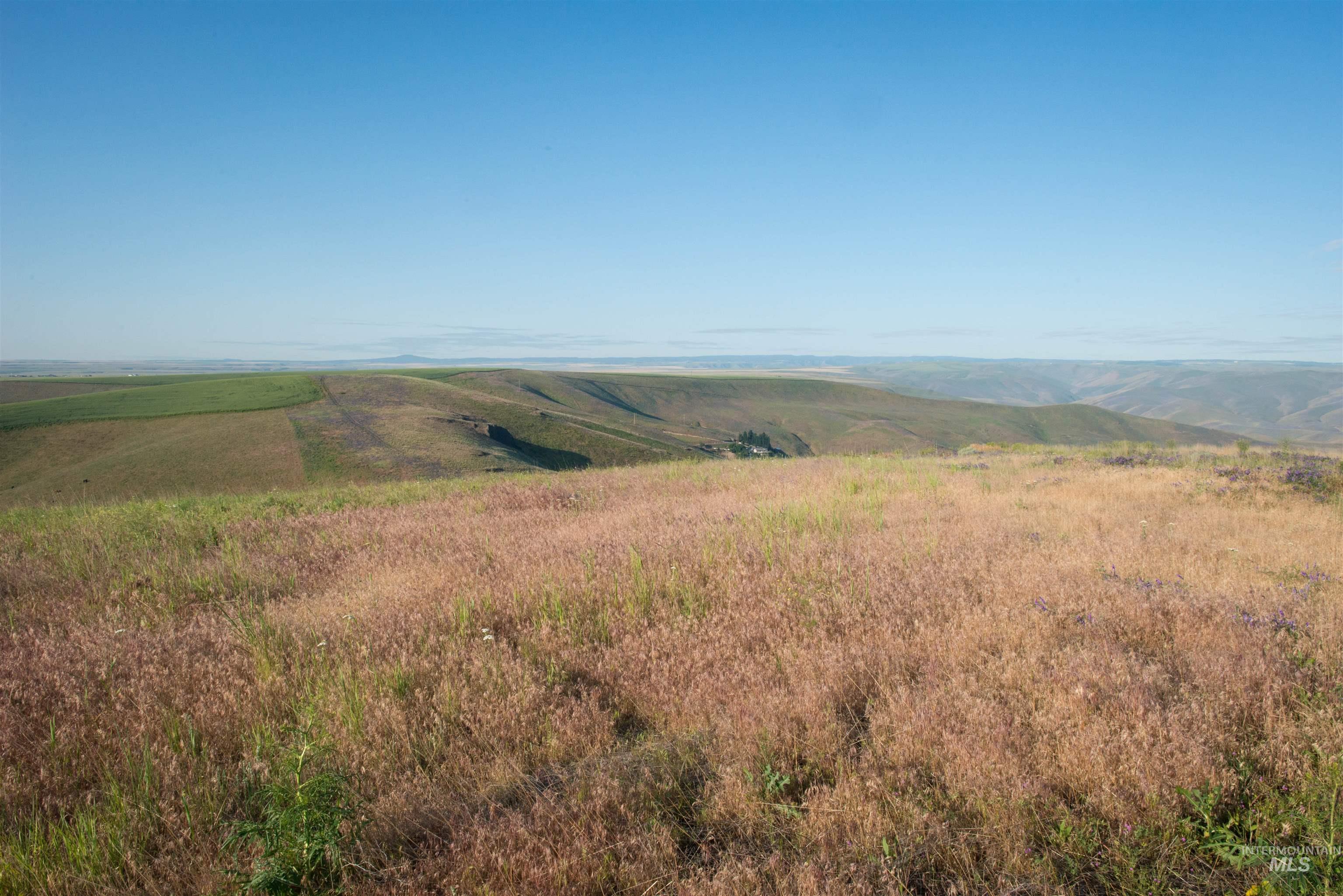 2001 Silcott Hills Rd, Clarkston, Washington 99403, Land For Sale, Price $250,000,MLS 98980680