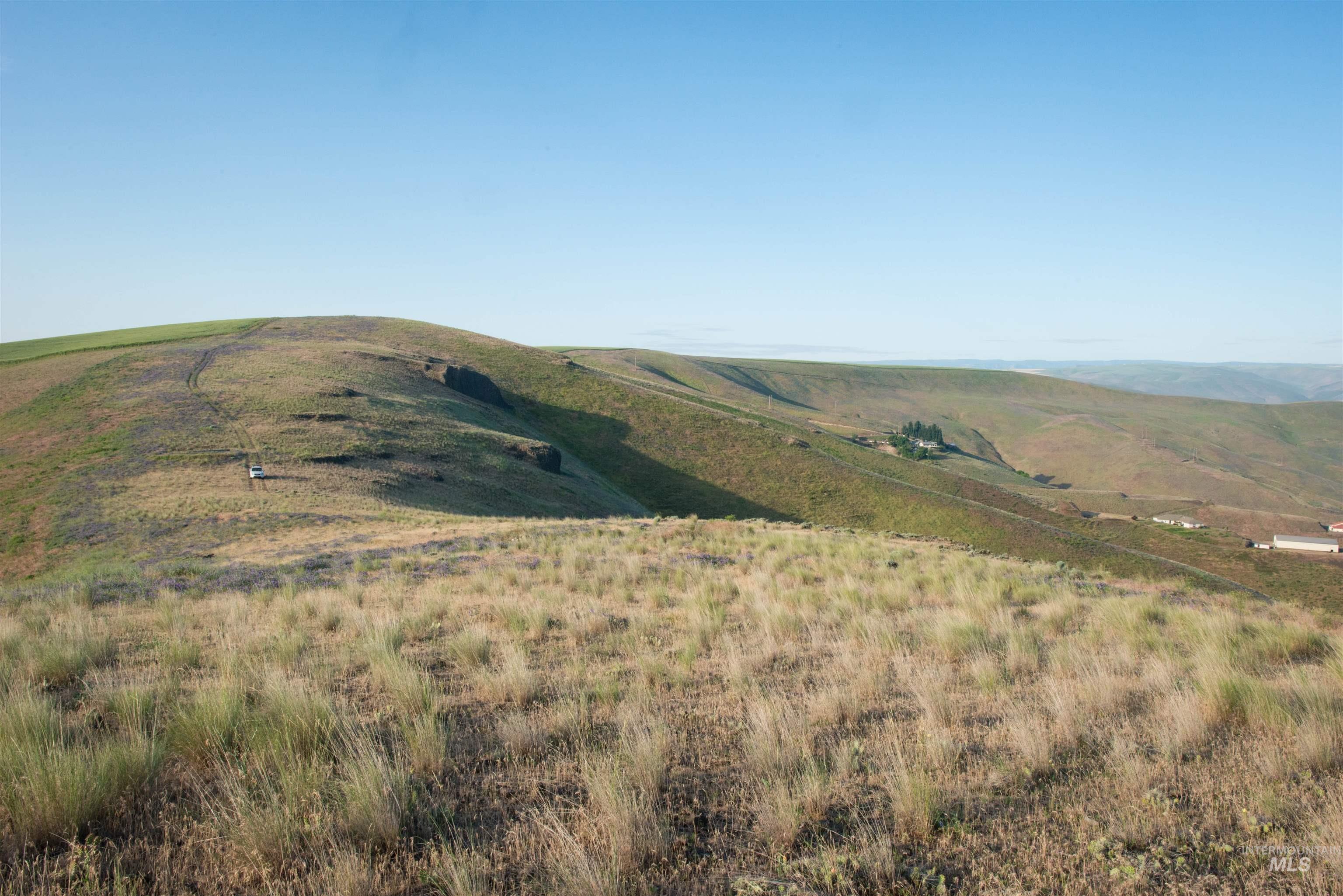 2001 Silcott Hills Rd, Clarkston, Washington 99403, Land For Sale, Price $250,000,MLS 98980680