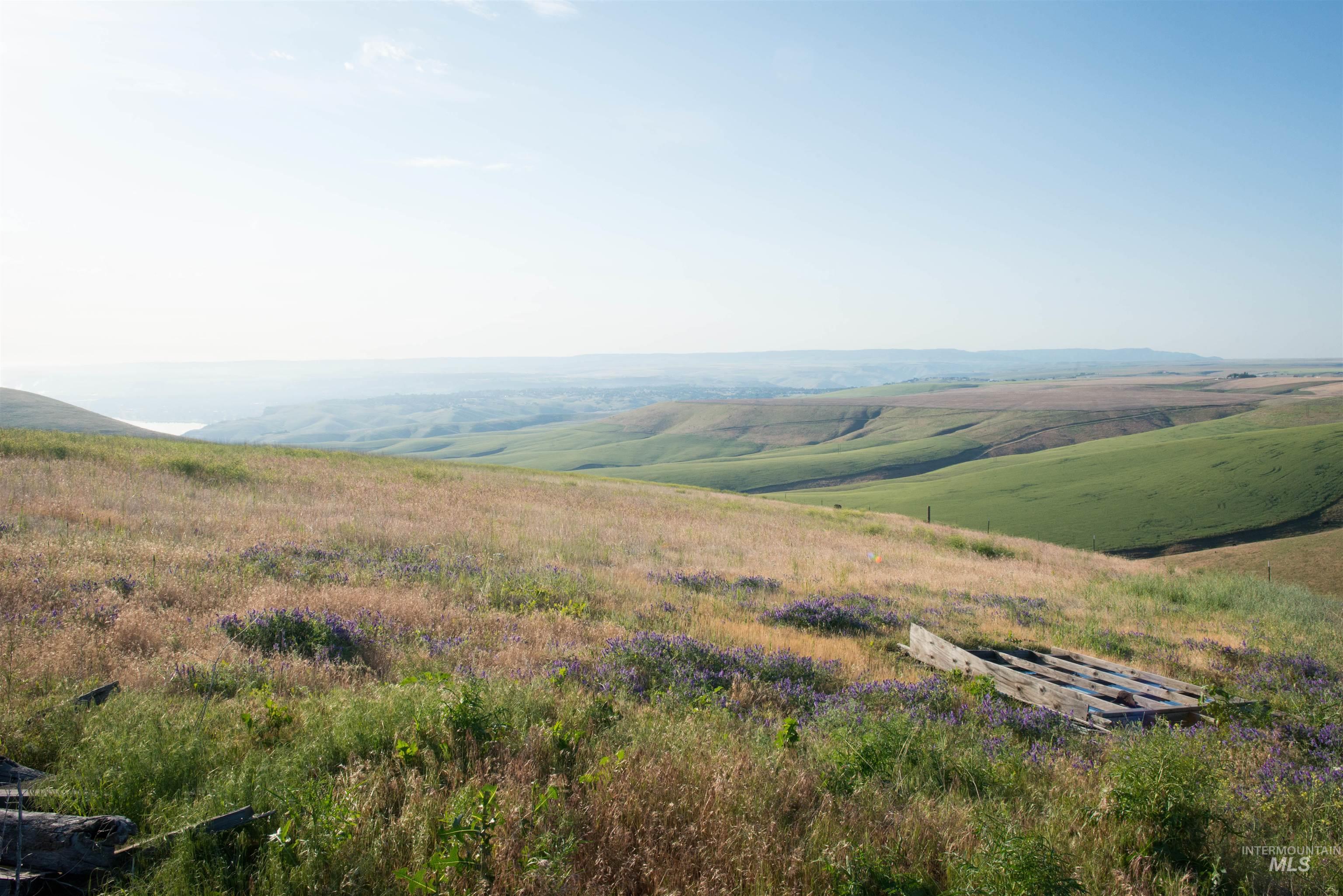 2001 Silcott Hills Rd, Clarkston, Washington 99403, Land For Sale, Price $250,000,MLS 98980680