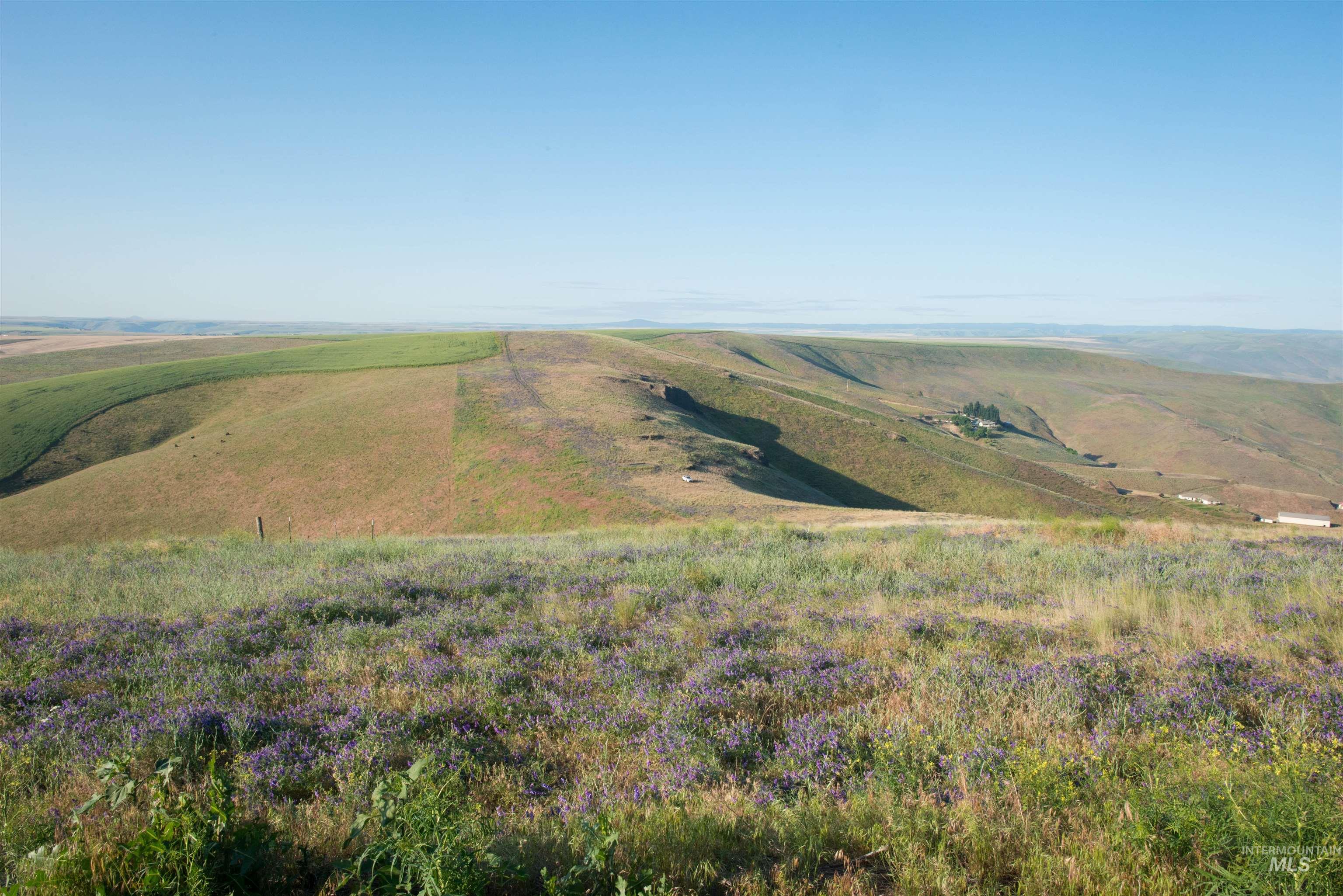2001 Silcott Hills Rd, Clarkston, Washington 99403, Land For Sale, Price $250,000,MLS 98980680