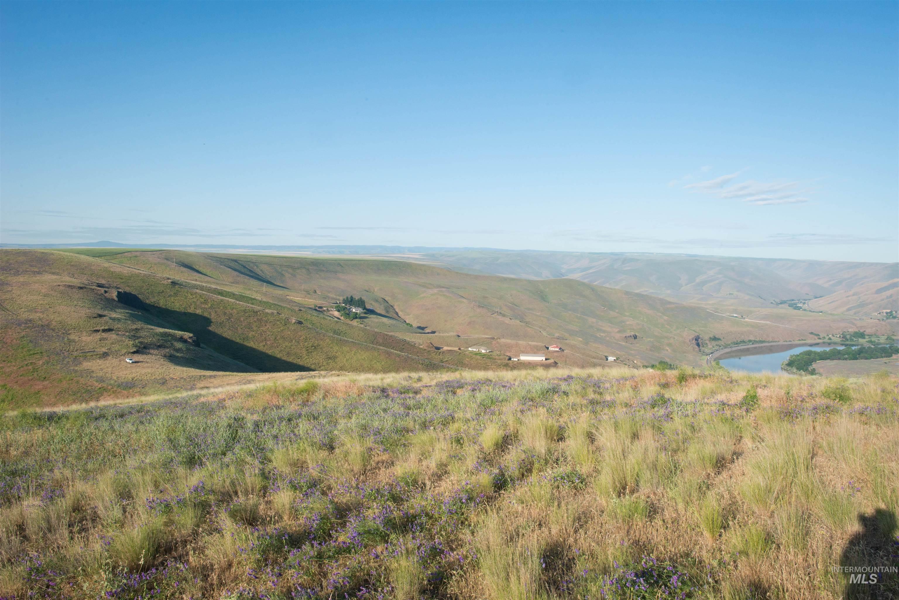 2001 Silcott Hills Rd, Clarkston, Washington 99403, Land For Sale, Price $250,000,MLS 98980680