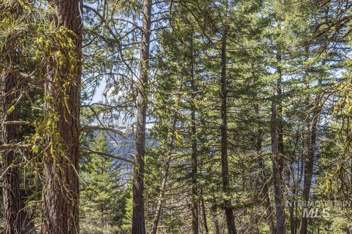 161 Little Donner Drive, Cascade, Idaho 83611, Land For Sale, Price $349,000,MLS 98980690