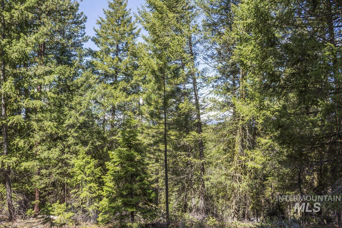 161 Little Donner Drive, Cascade, Idaho 83611, Land For Sale, Price $349,000,MLS 98980690