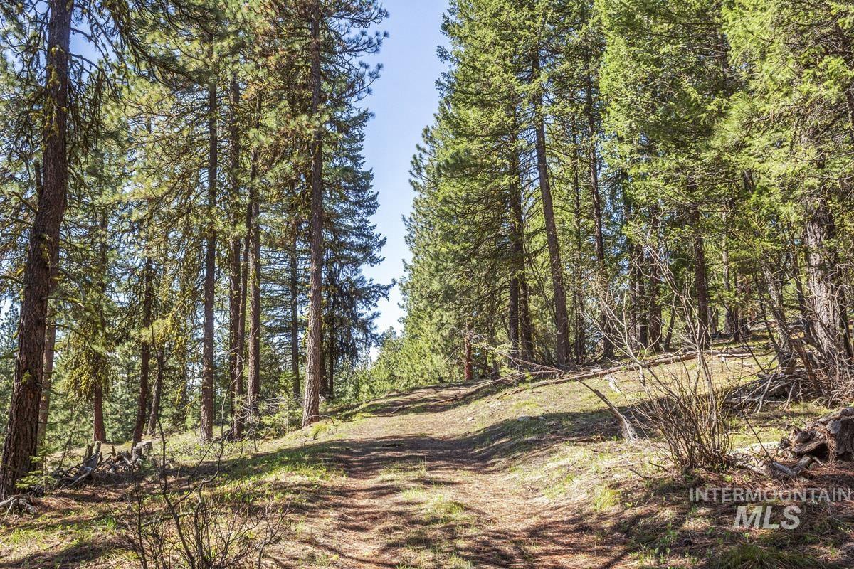 161 Little Donner Drive, Cascade, Idaho 83611, Land For Sale, Price $349,000,MLS 98980690