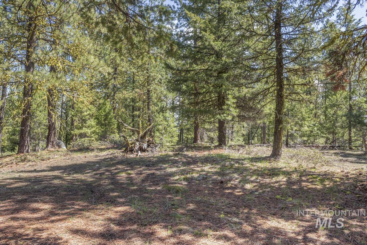 161 Little Donner Drive, Cascade, Idaho 83611, Land For Sale, Price $349,000,MLS 98980690