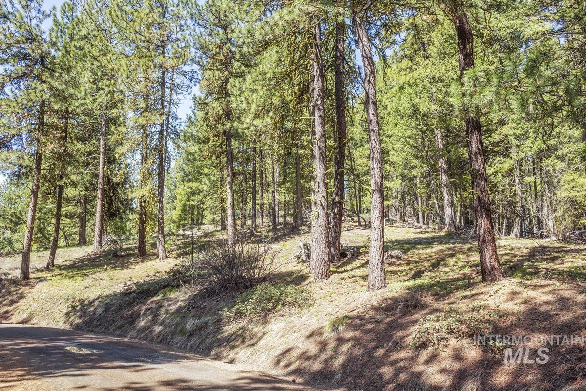 161 Little Donner Drive, Cascade, Idaho 83611, Land For Sale, Price $349,000,MLS 98980690