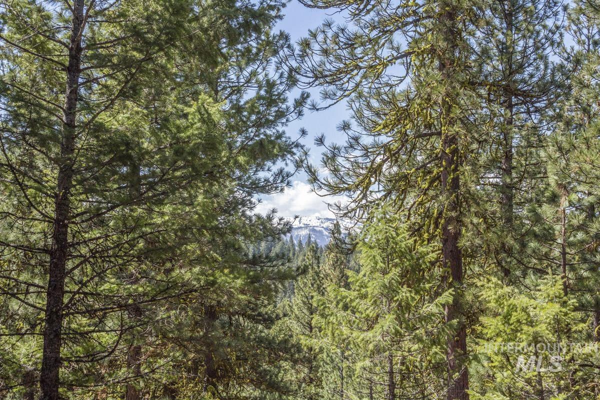 161 Little Donner Drive, Cascade, Idaho 83611, Land For Sale, Price $349,000,MLS 98980690