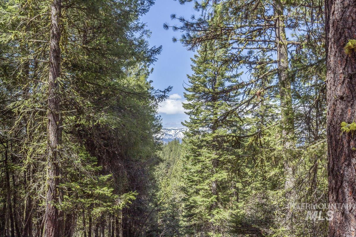 161 Little Donner Drive, Cascade, Idaho 83611, Land For Sale, Price $349,000,MLS 98980690