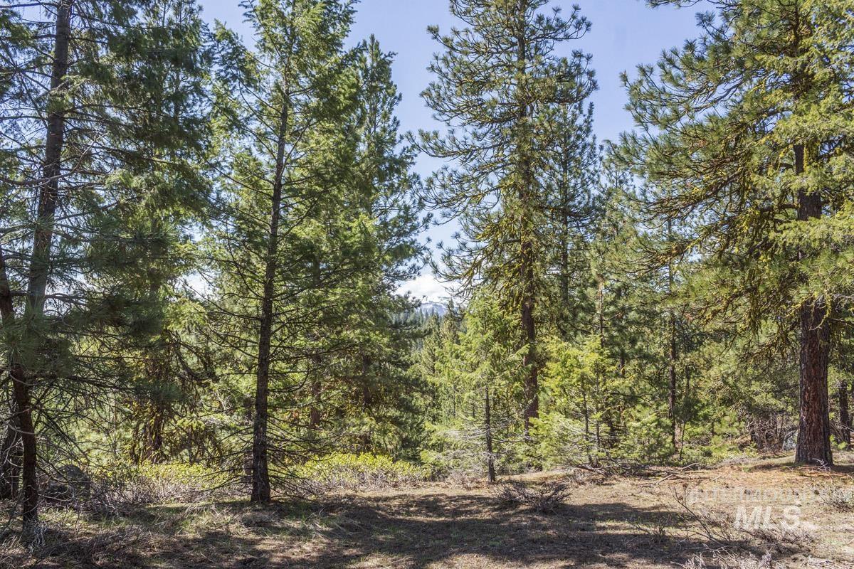 161 Little Donner Drive, Cascade, Idaho 83611, Land For Sale, Price $349,000,MLS 98980690
