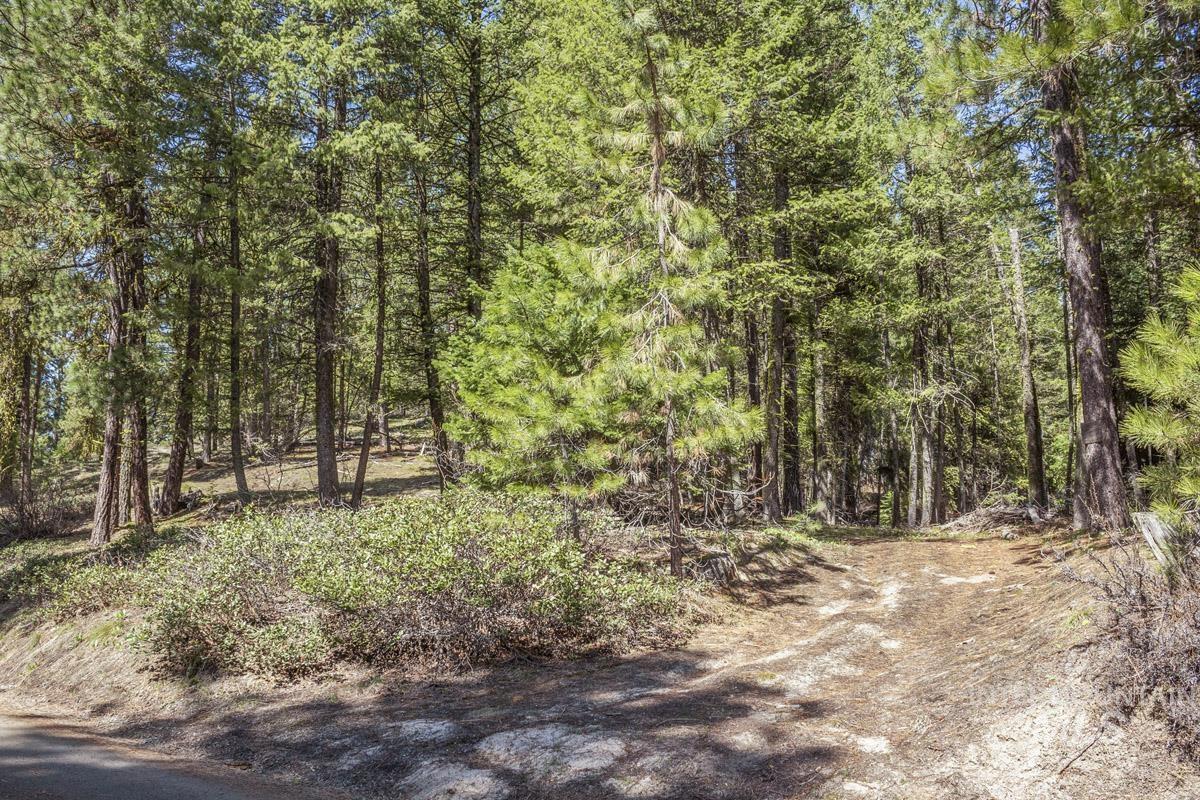 161 Little Donner Drive, Cascade, Idaho 83611, Land For Sale, Price $349,000,MLS 98980690