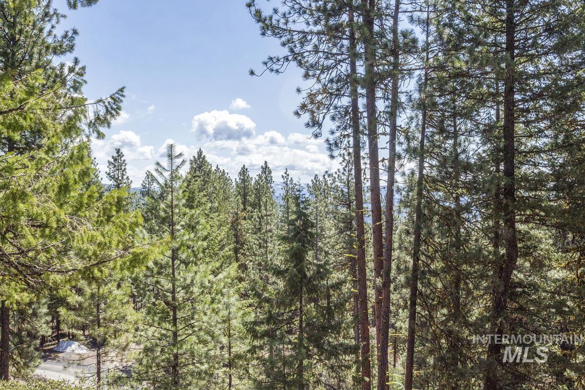 161 Little Donner Drive, Cascade, Idaho 83611, Land For Sale, Price $349,000,MLS 98980690