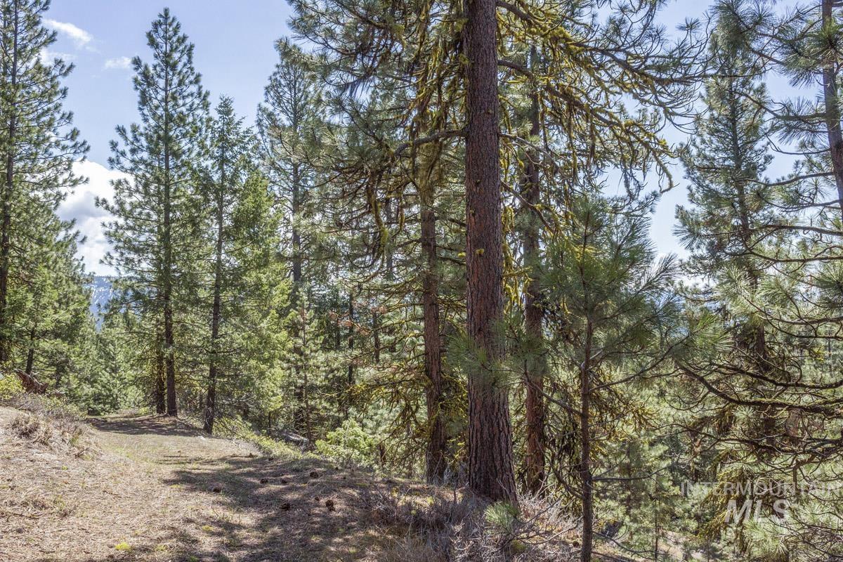 161 Little Donner Drive, Cascade, Idaho 83611, Land For Sale, Price $349,000,MLS 98980690