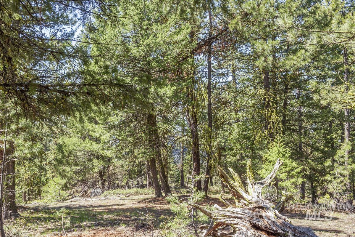 161 Little Donner Drive, Cascade, Idaho 83611, Land For Sale, Price $349,000,MLS 98980690