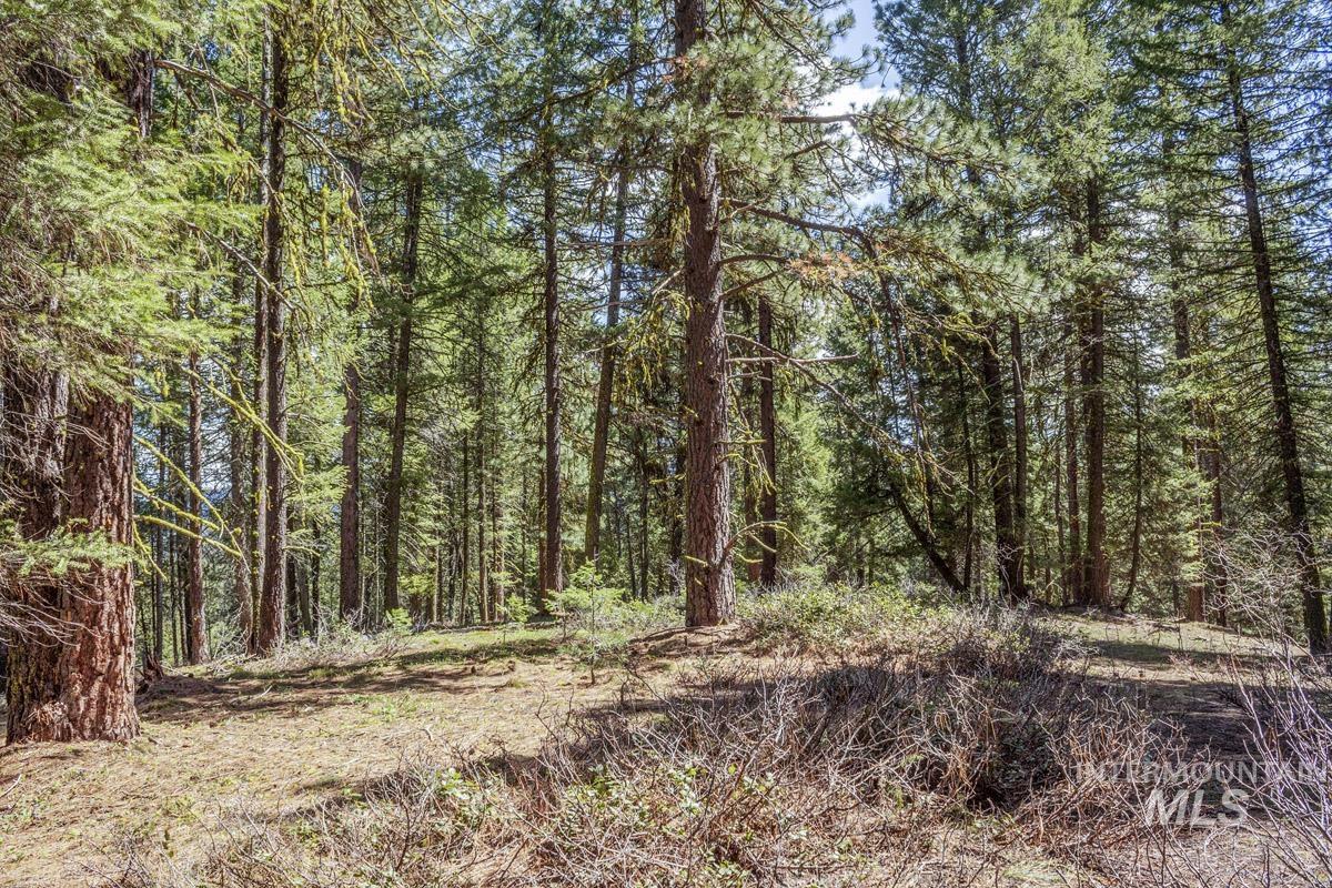 161 Little Donner Drive, Cascade, Idaho 83611, Land For Sale, Price $349,000,MLS 98980690