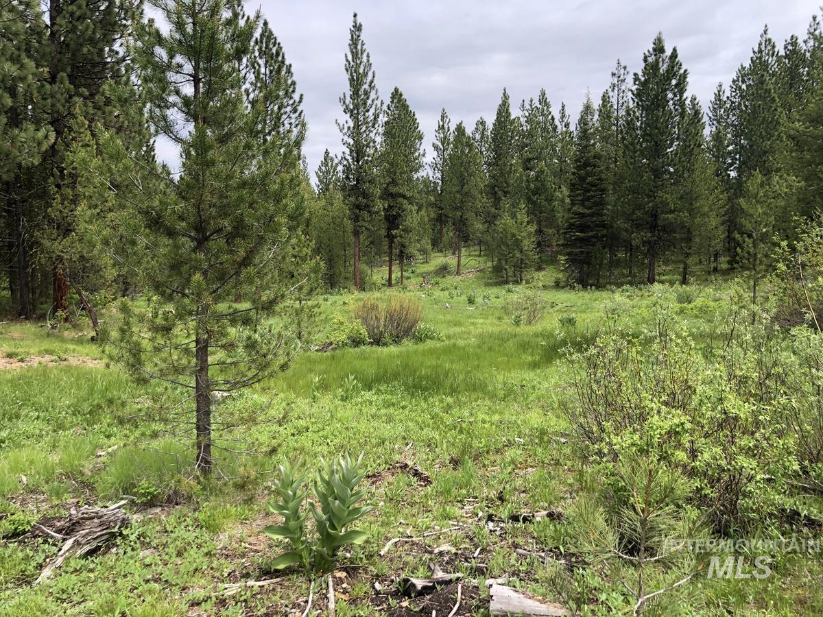 L18 Silver Cloud Drive, Cascade, Idaho 83611, Land For Sale, Price $255,000,MLS 98980699