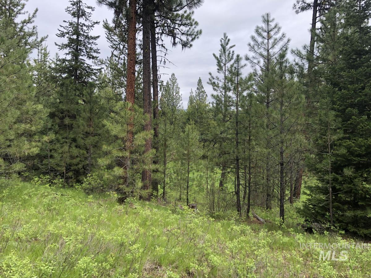 L18 Silver Cloud Drive, Cascade, Idaho 83611, Land For Sale, Price $255,000,MLS 98980699