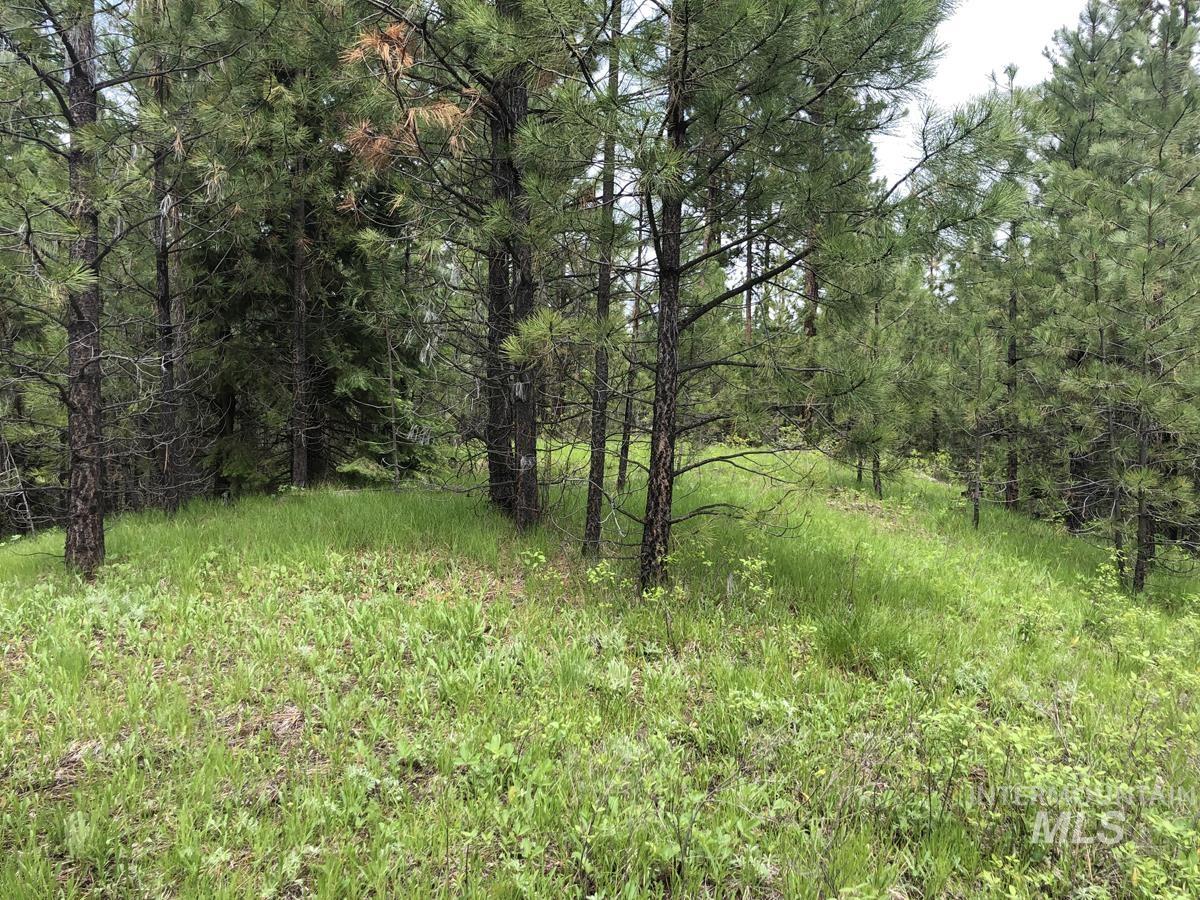 L18 Silver Cloud Drive, Cascade, Idaho 83611, Land For Sale, Price $255,000,MLS 98980699