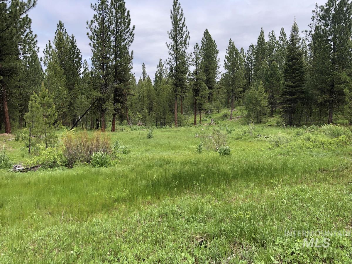L18 Silver Cloud Drive, Cascade, Idaho 83611, Land For Sale, Price $255,000,MLS 98980699