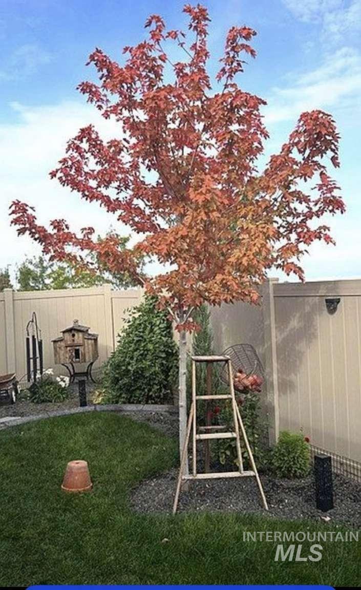 8834 E Snow Drop St, Nampa, Idaho 83687, 3 Bedrooms, 2 Bathrooms, Residential For Sale, Price $689,900,MLS 98980705