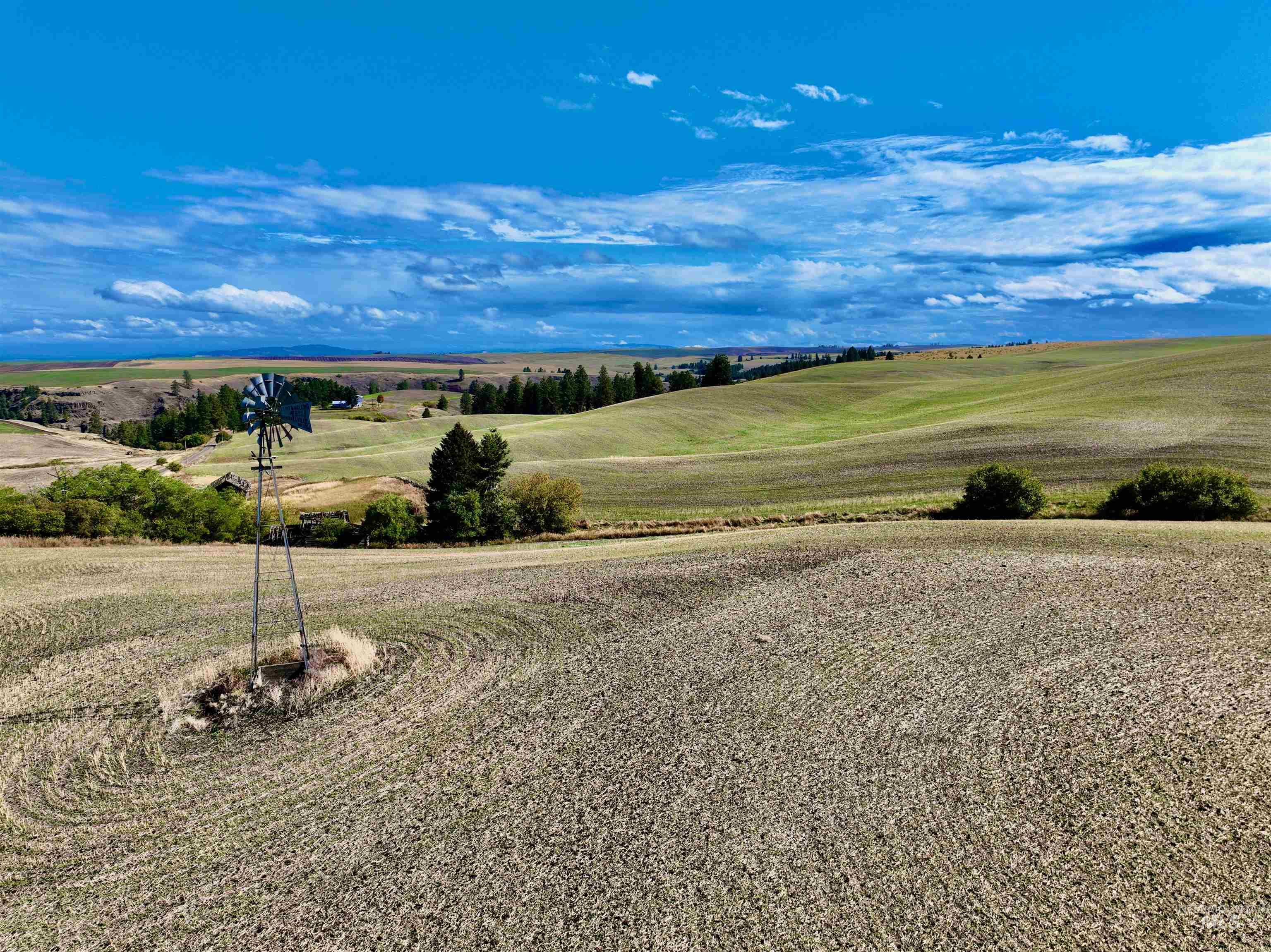 TBD Central Ridge Rd, Craigmont, Idaho 83523, Land For Sale, Price $480,000,MLS 98980709