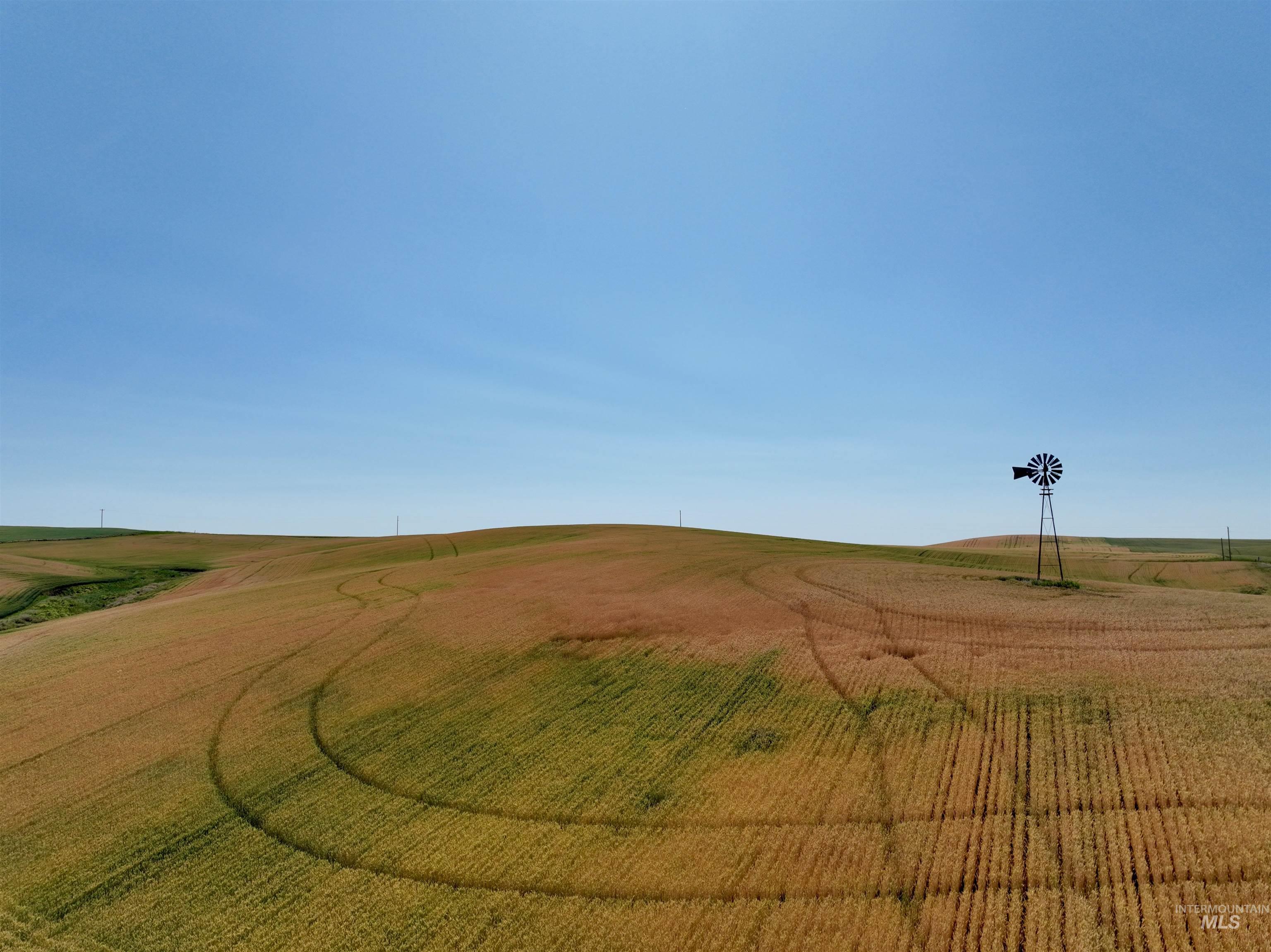 TBD Central Ridge Rd, Craigmont, Idaho 83523, Land For Sale, Price $480,000,MLS 98980709