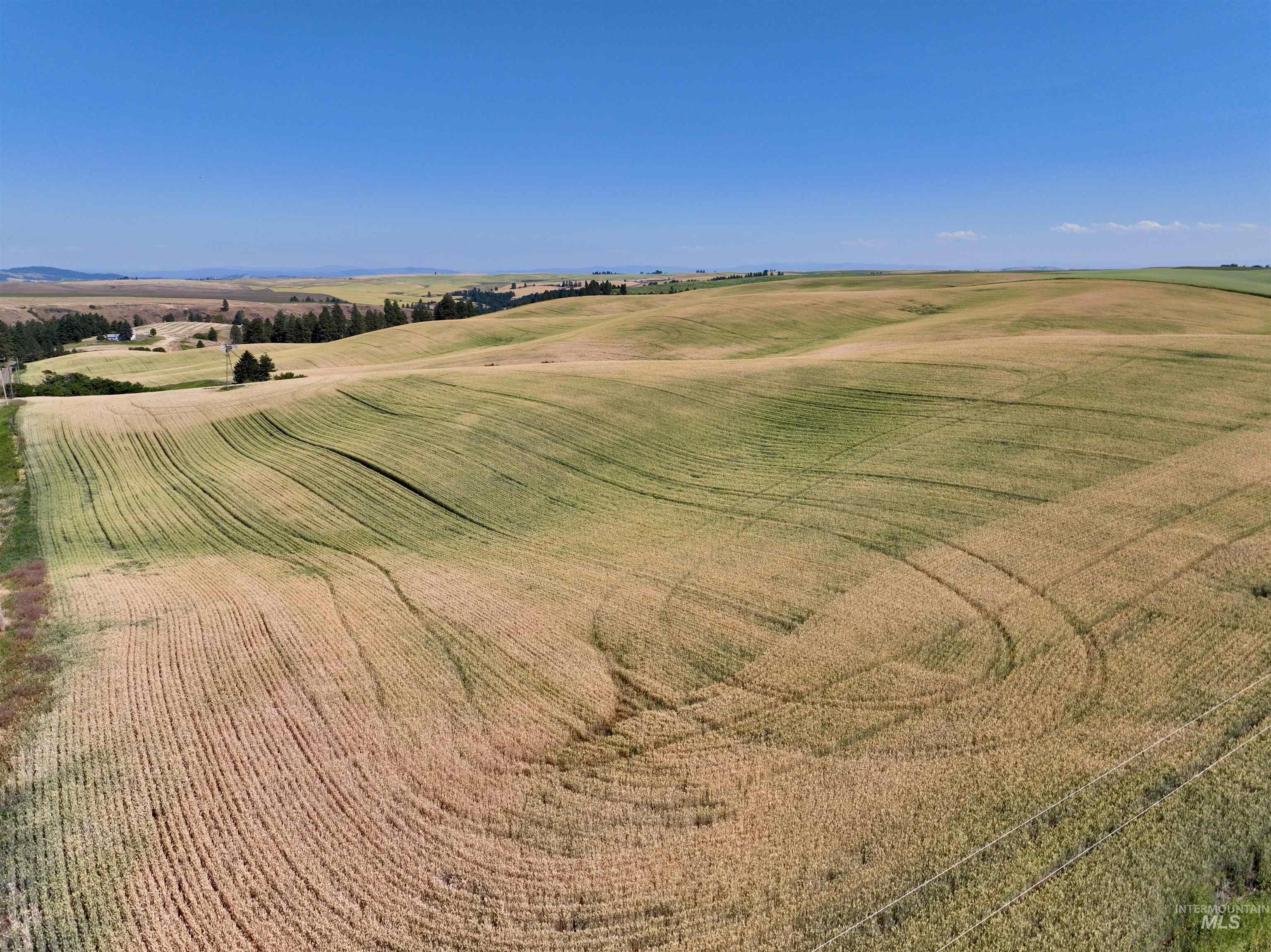 TBD Central Ridge Rd, Craigmont, Idaho 83523, Land For Sale, Price $480,000,MLS 98980709