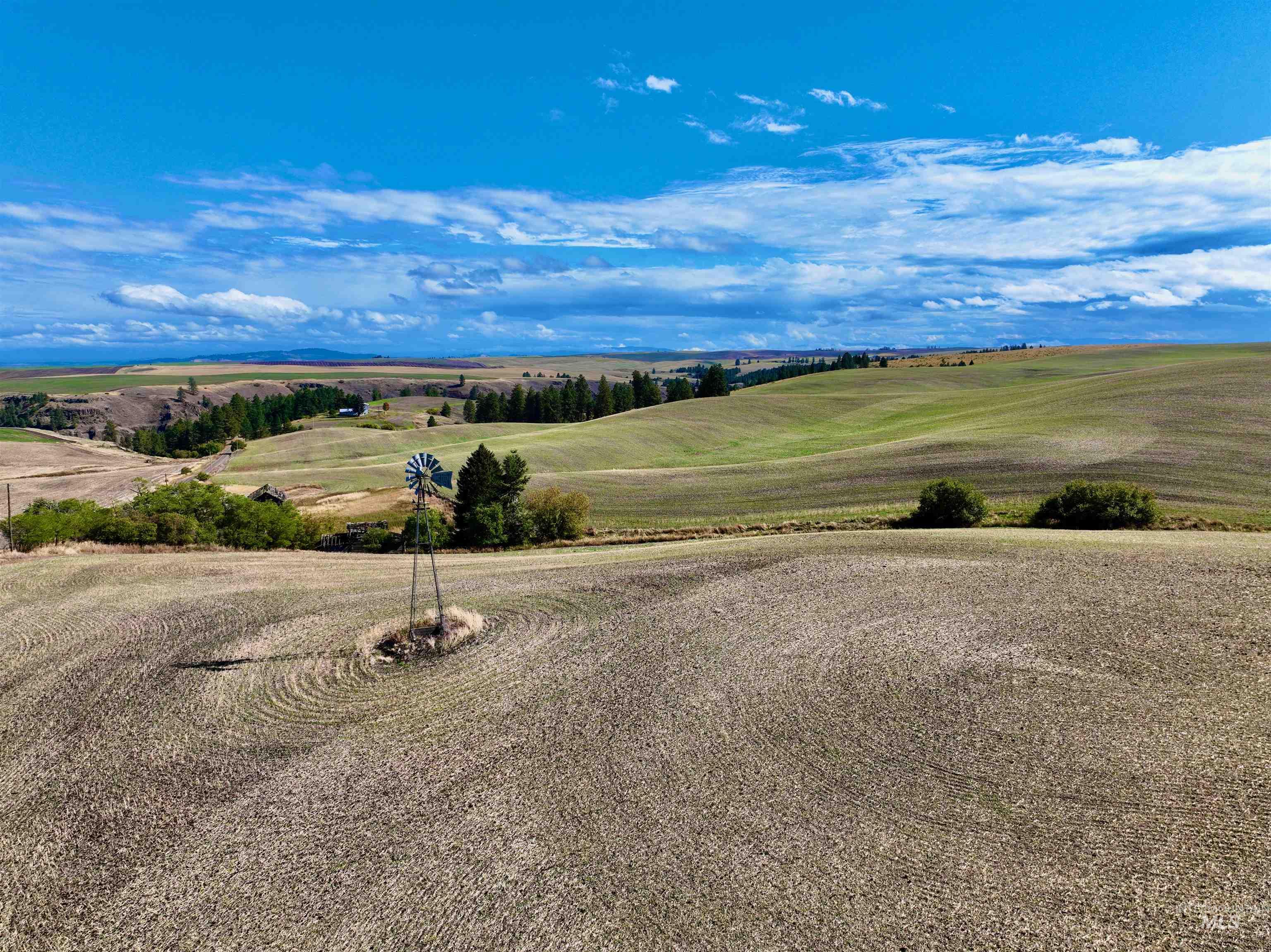 TBD Central Ridge Rd, Craigmont, Idaho 83523, Land For Sale, Price $480,000,MLS 98980709